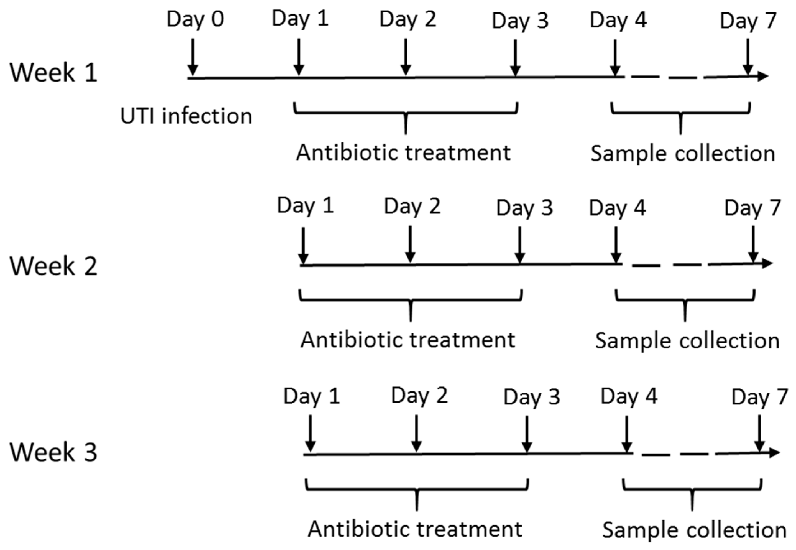 Antibiotics 08 00170 g004