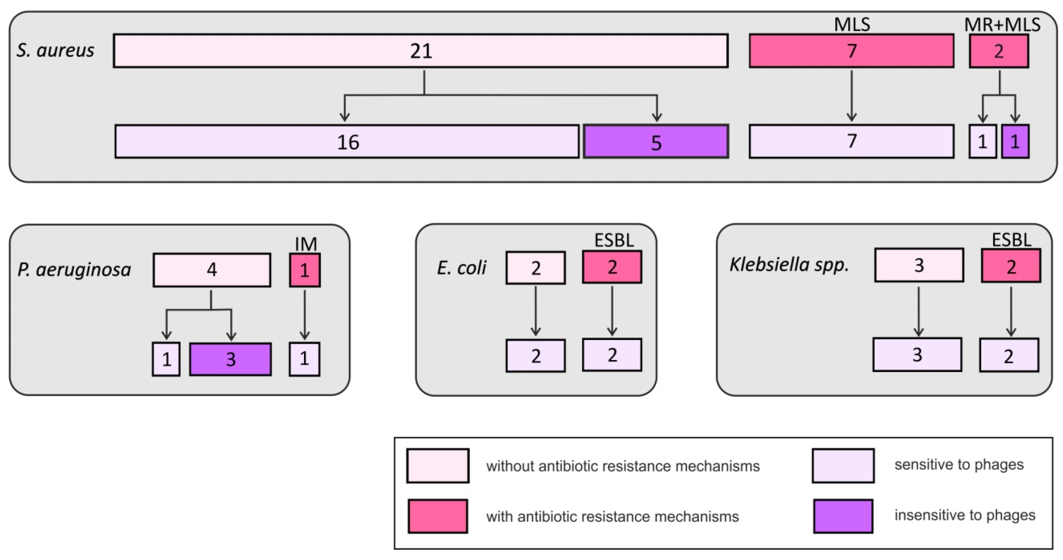 Antibiotics 08 00175 g002