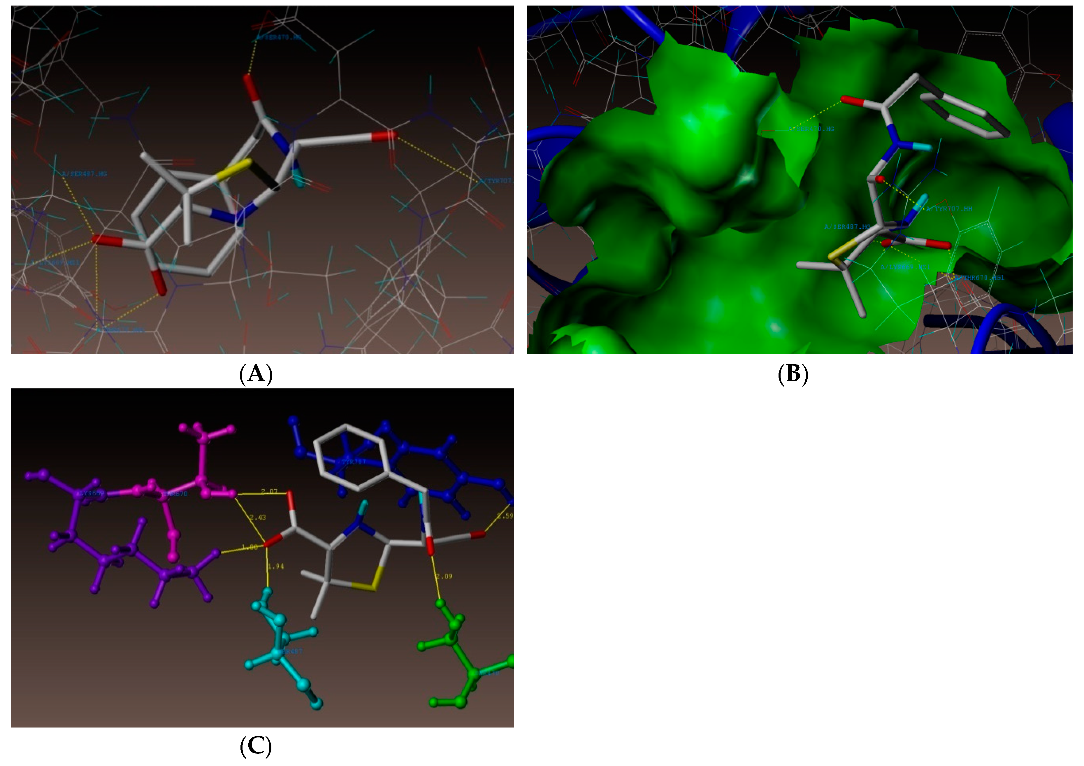 Antibiotics 08 00178 g005