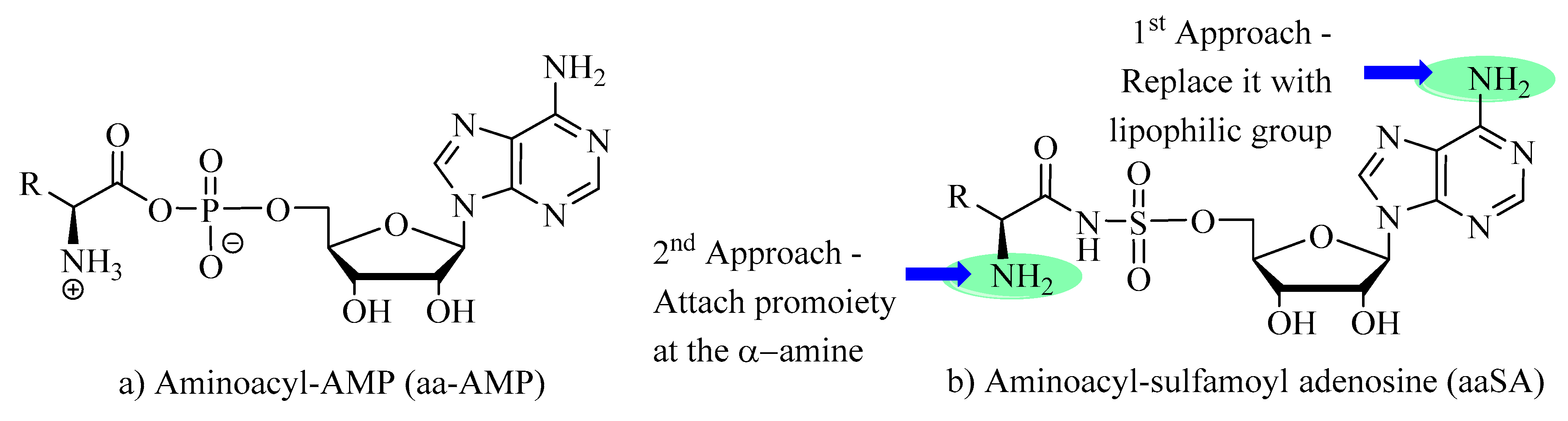 Antibiotics 08 00180 g001