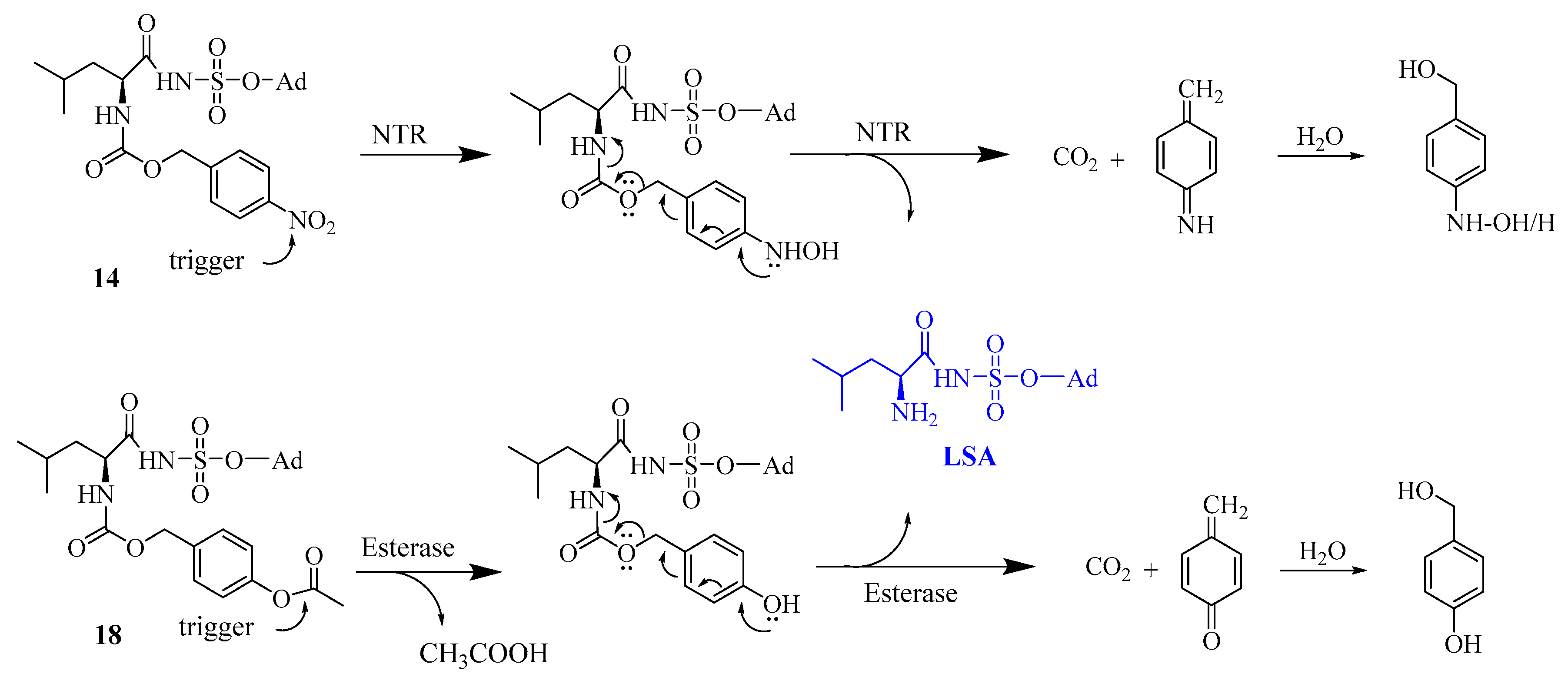 Antibiotics 08 00180 sch001