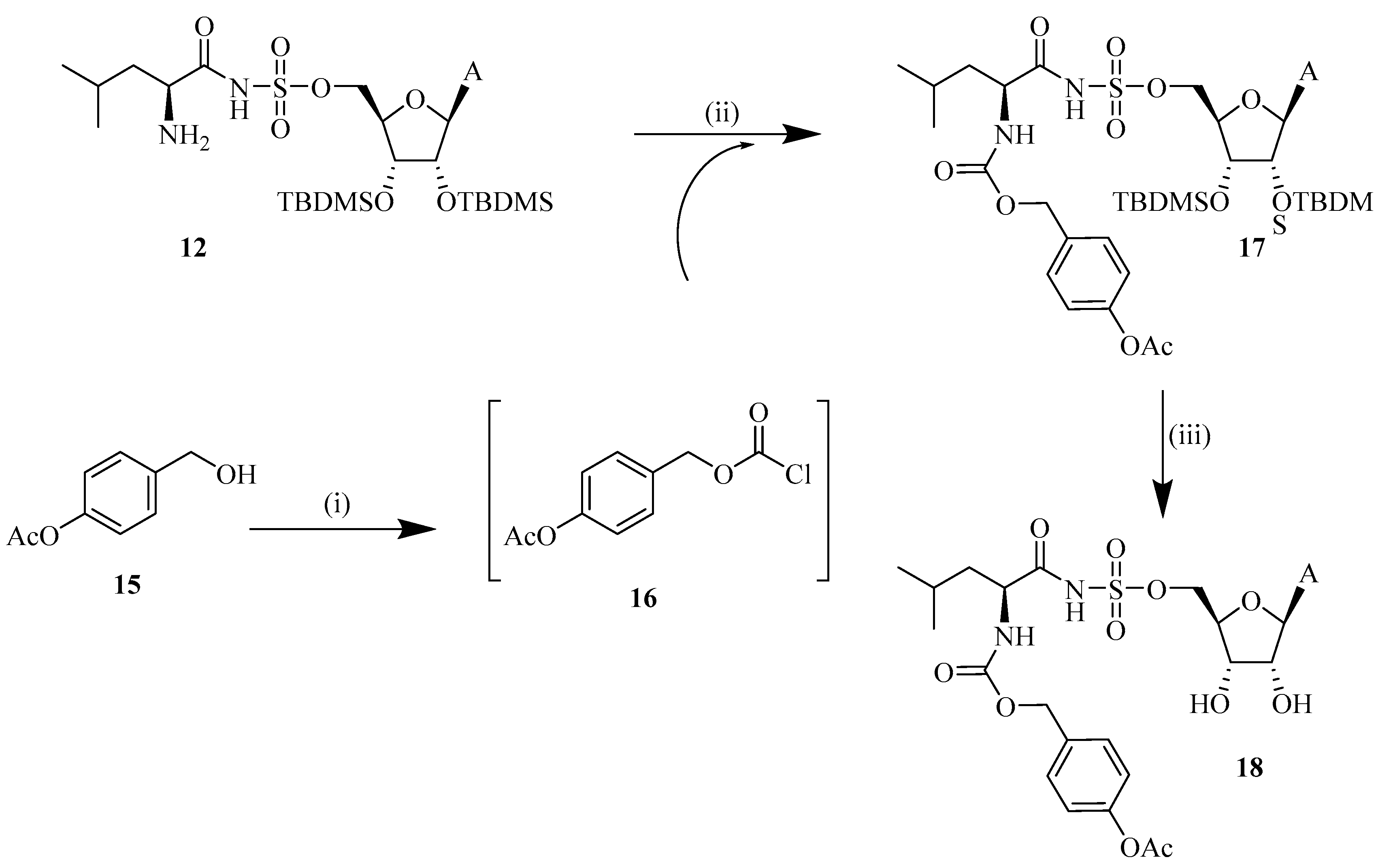 Antibiotics 08 00180 sch004