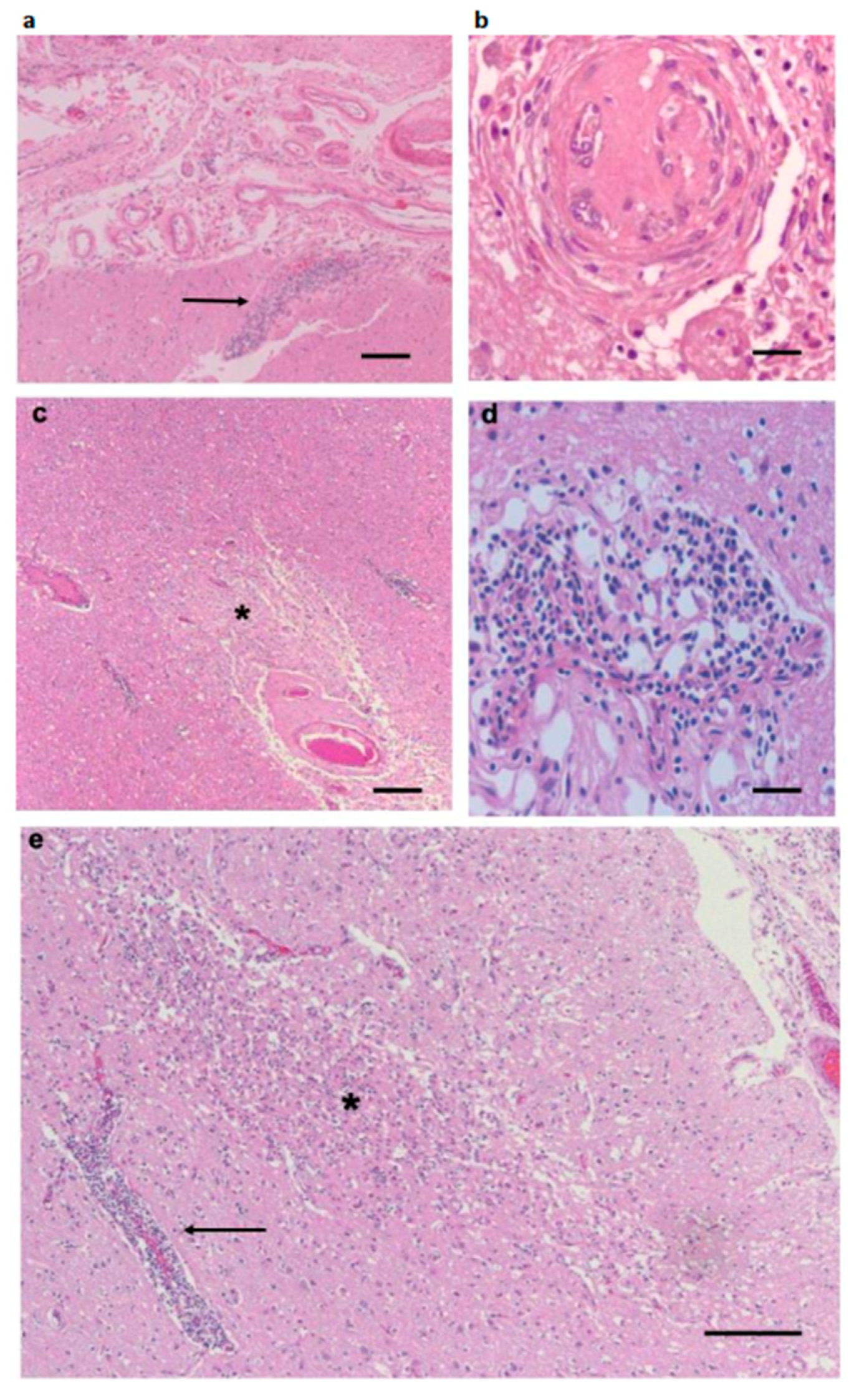 Antibiotics 08 00183 g001
