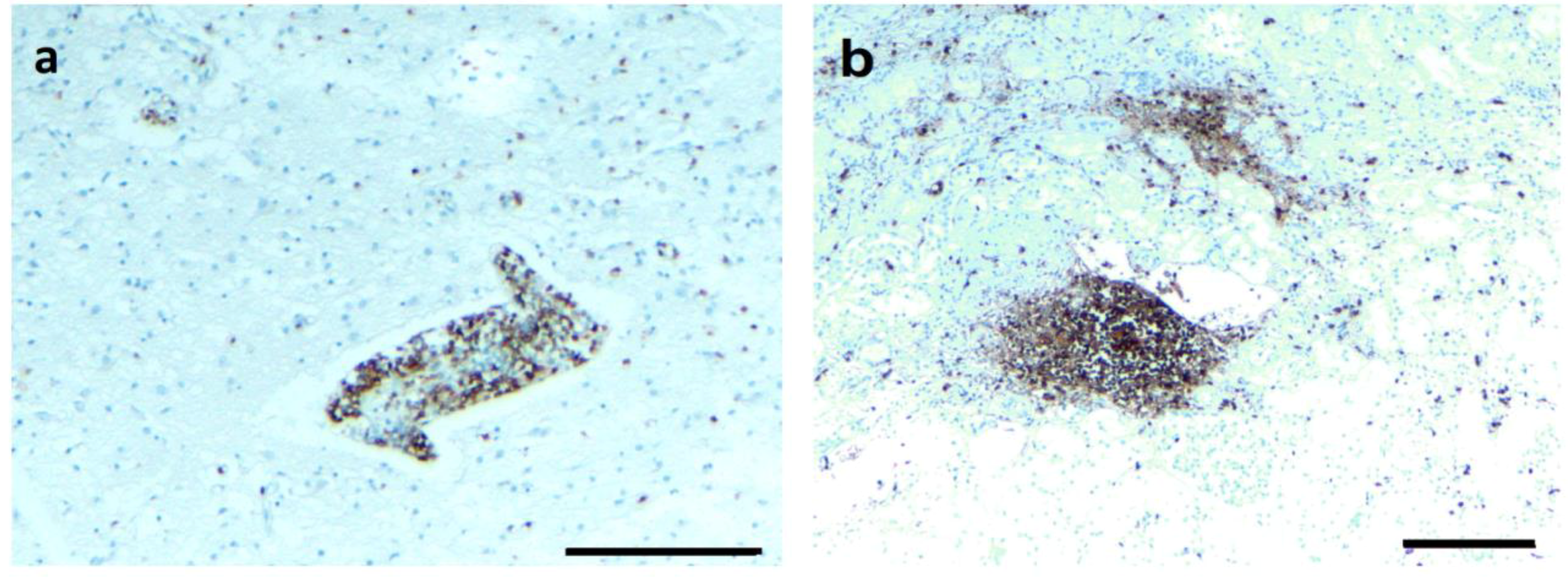 Antibiotics 08 00183 g004