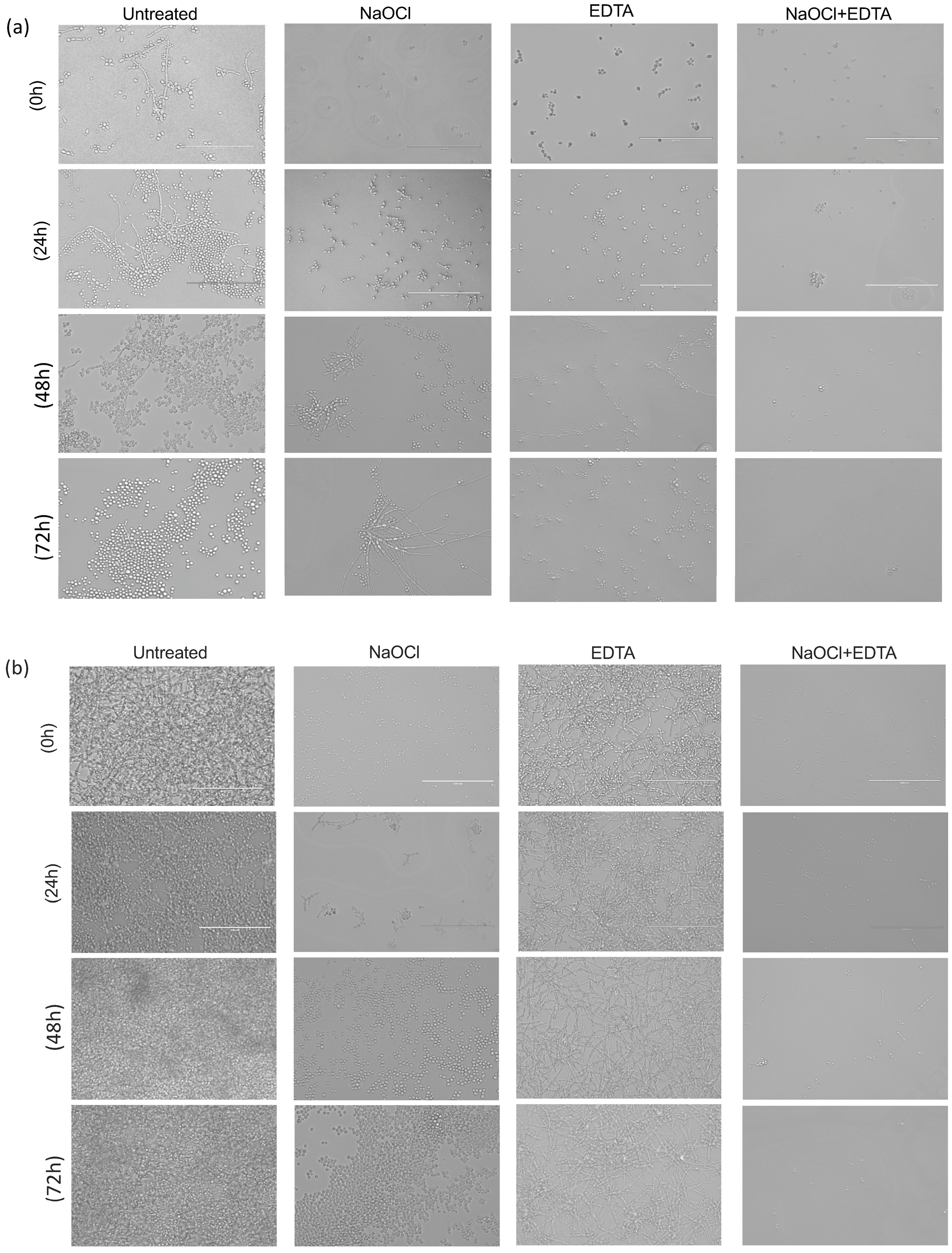 Antibiotics 08 00204 g007