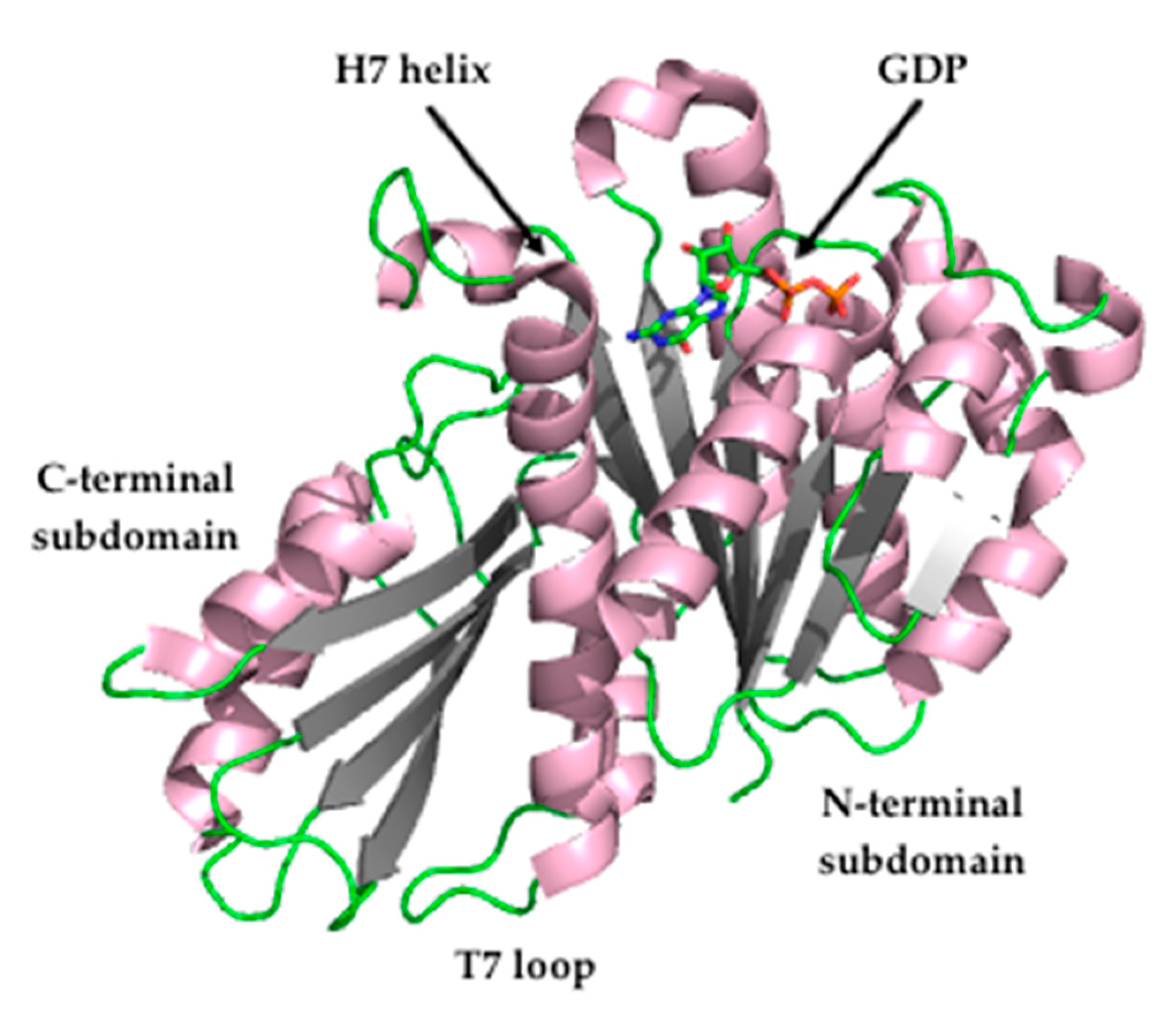 Antibiotics 08 00217 g002