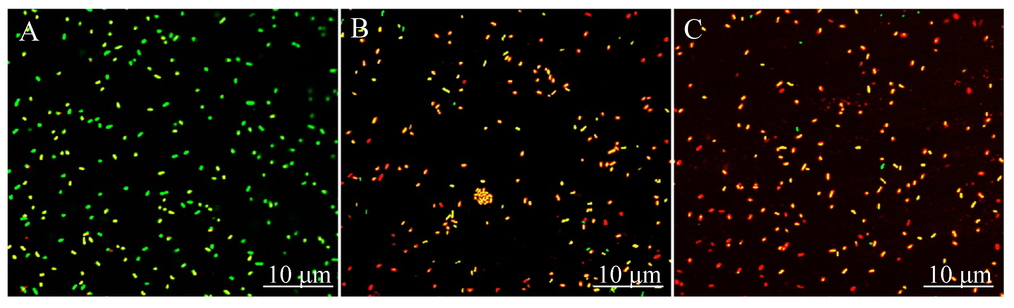 Antibiotics 08 00220 g003