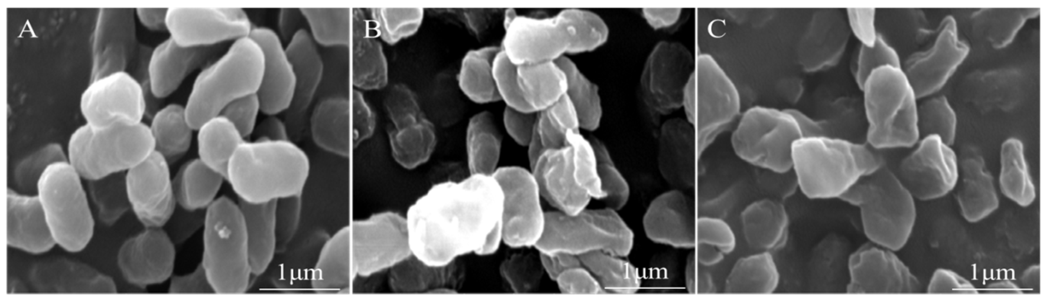 Antibiotics 08 00220 g005
