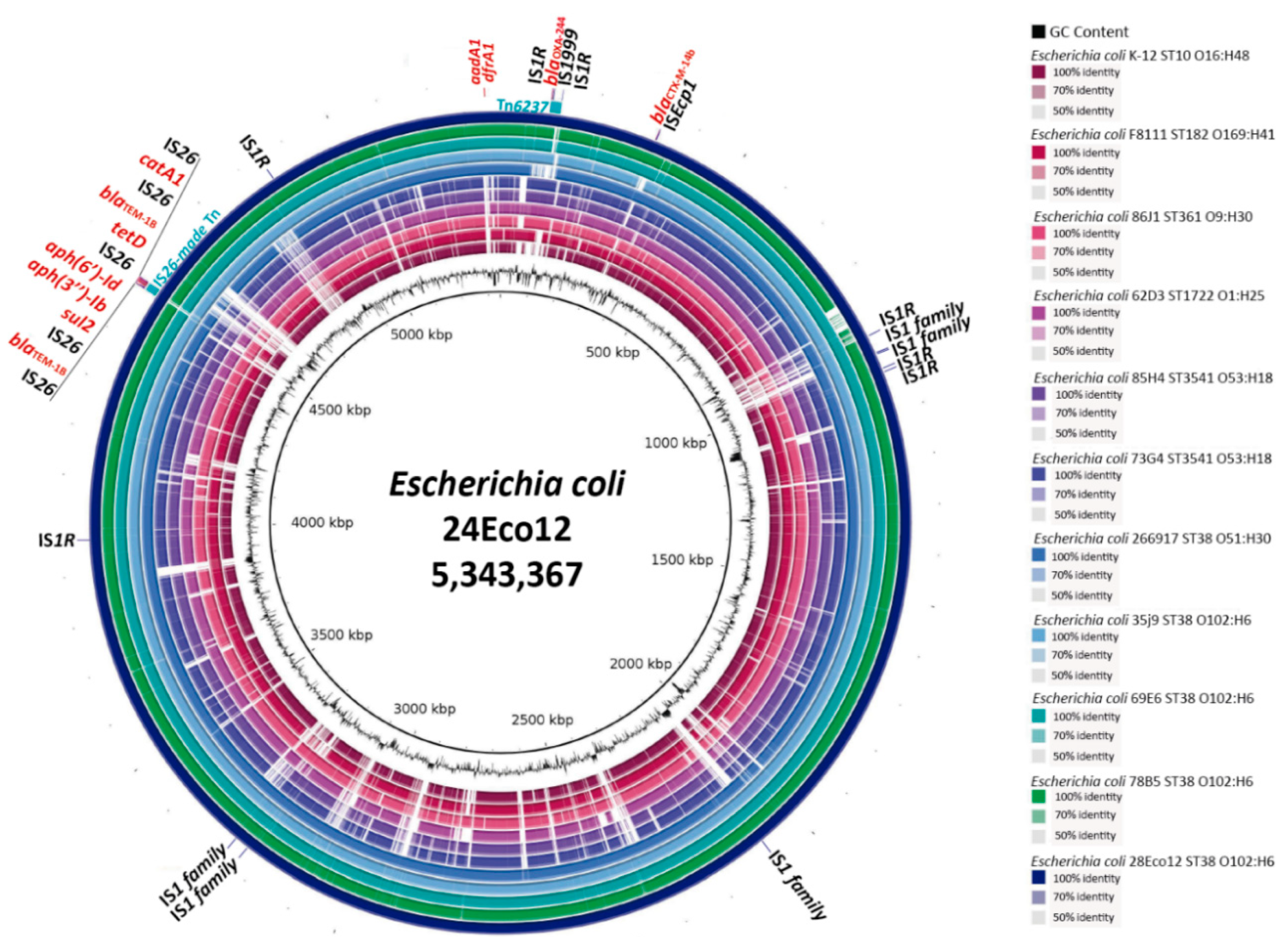 Antibiotics 08 00222 g001