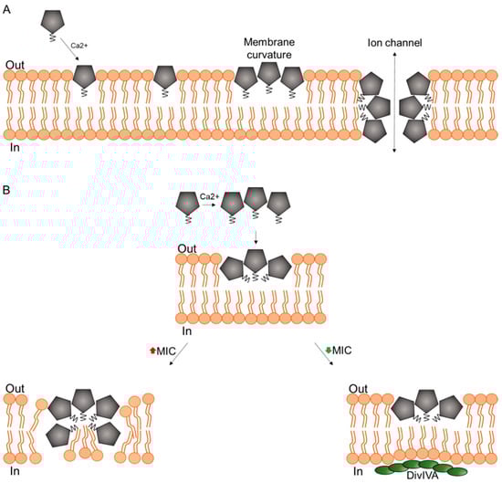 Antibiotics 09 00017 g002