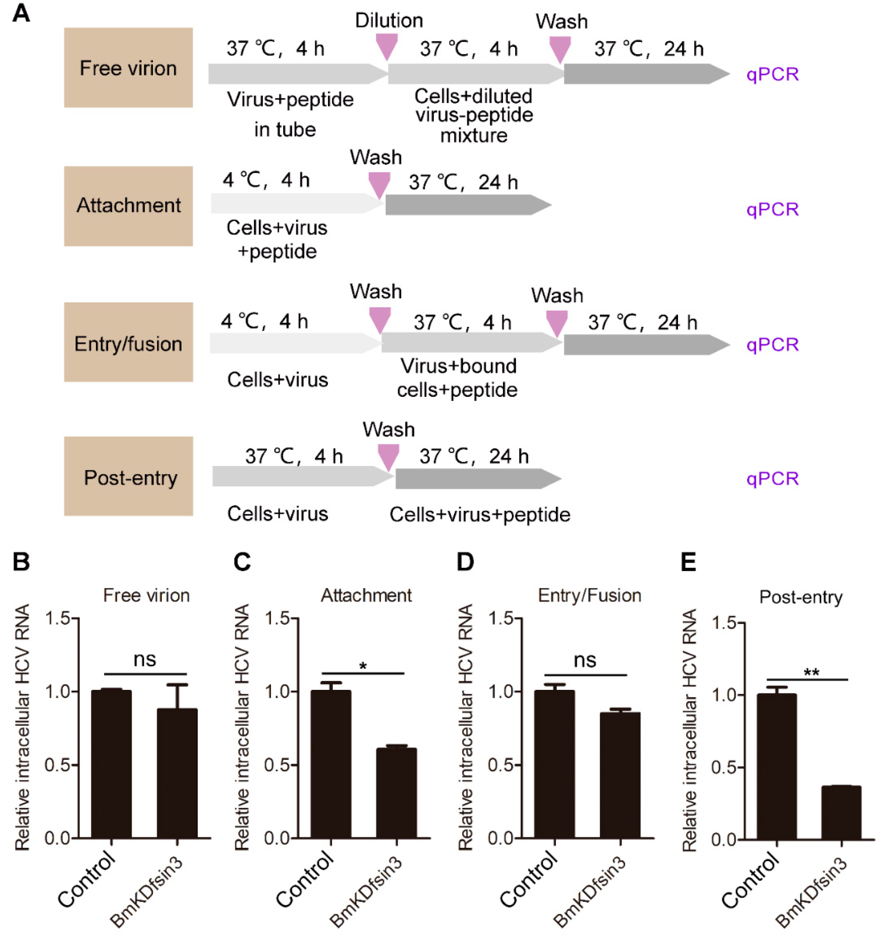 Antibiotics 09 00033 g002