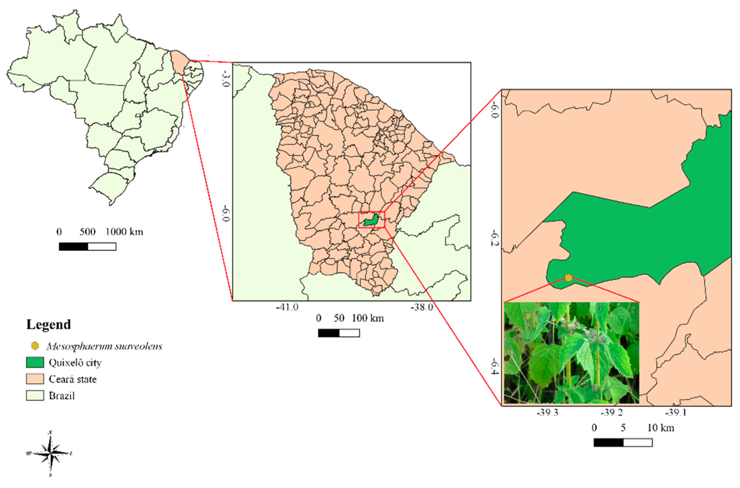 Antibiotics 09 00046 g006