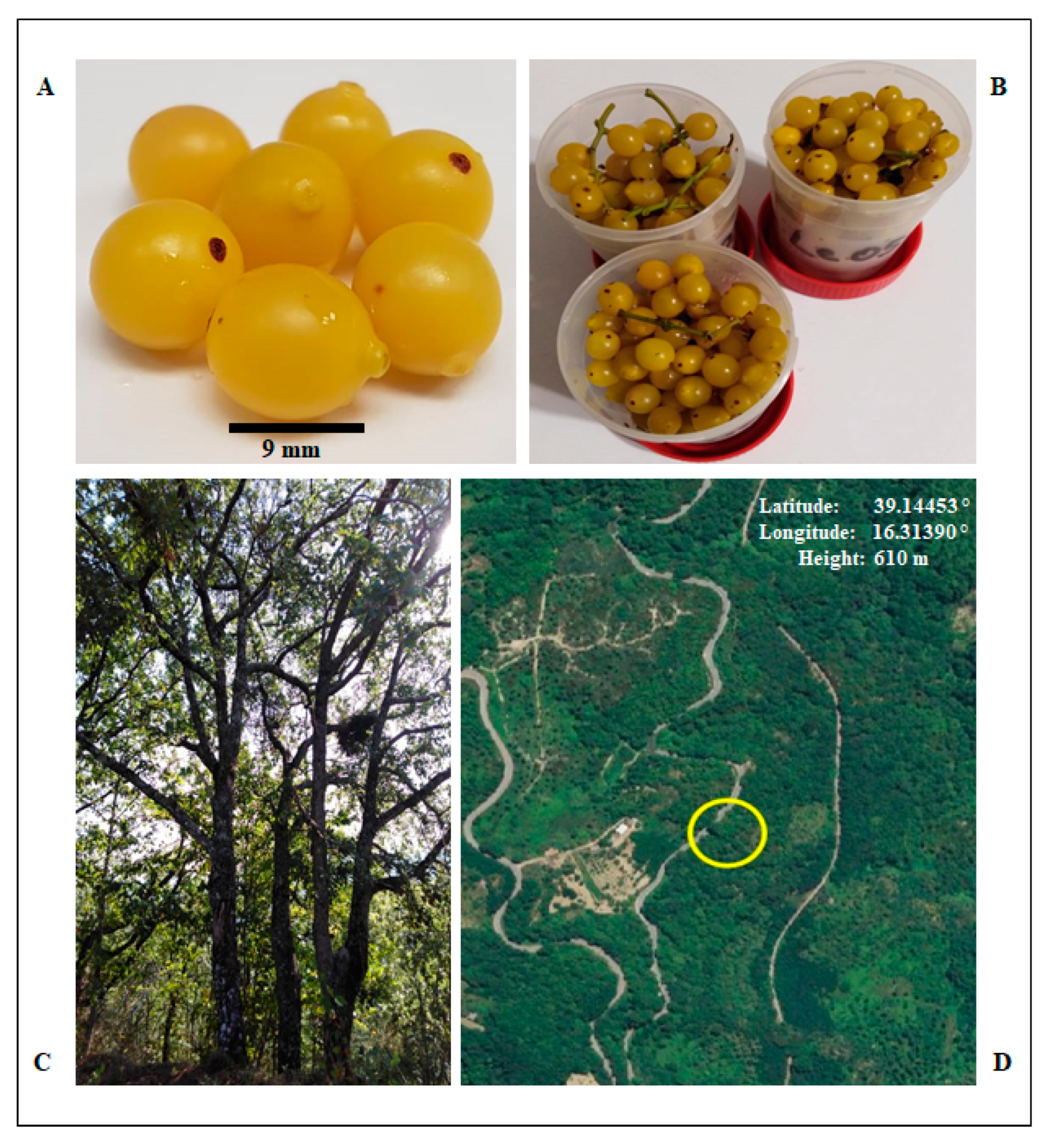 Antibiotics 09 00047 g001