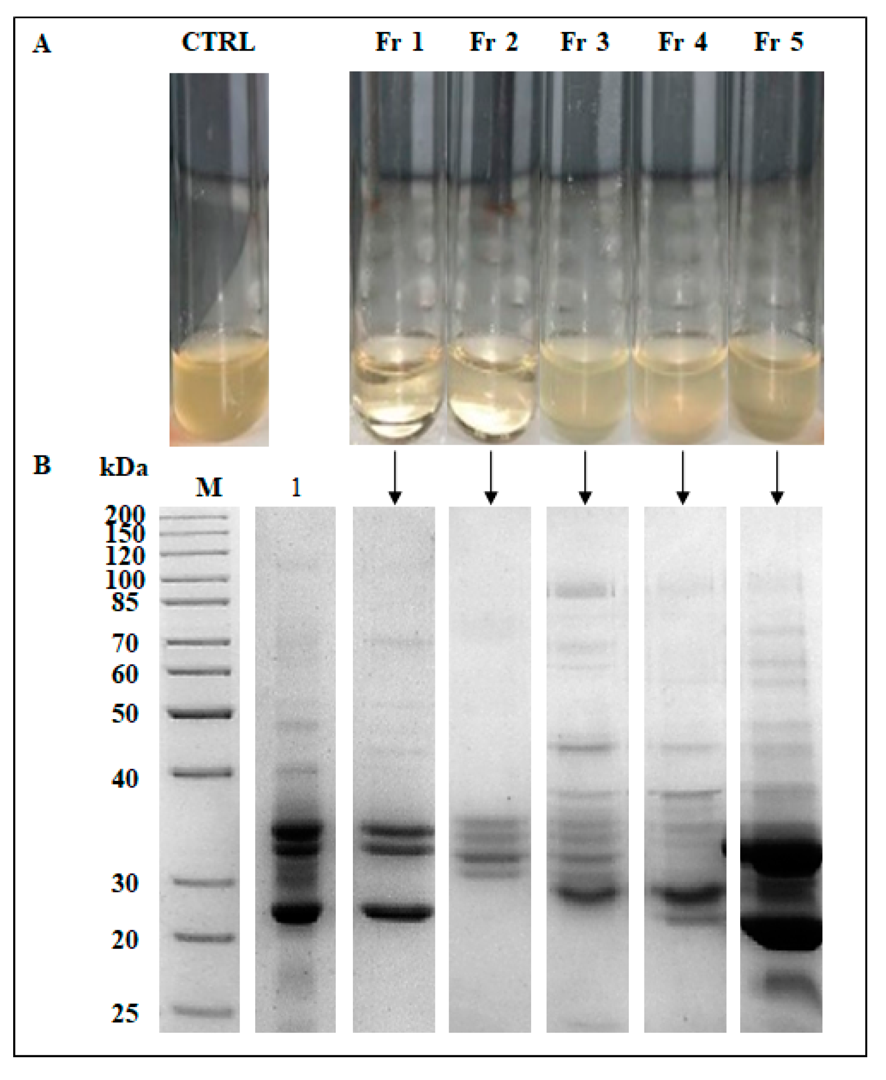 Antibiotics 09 00047 g008