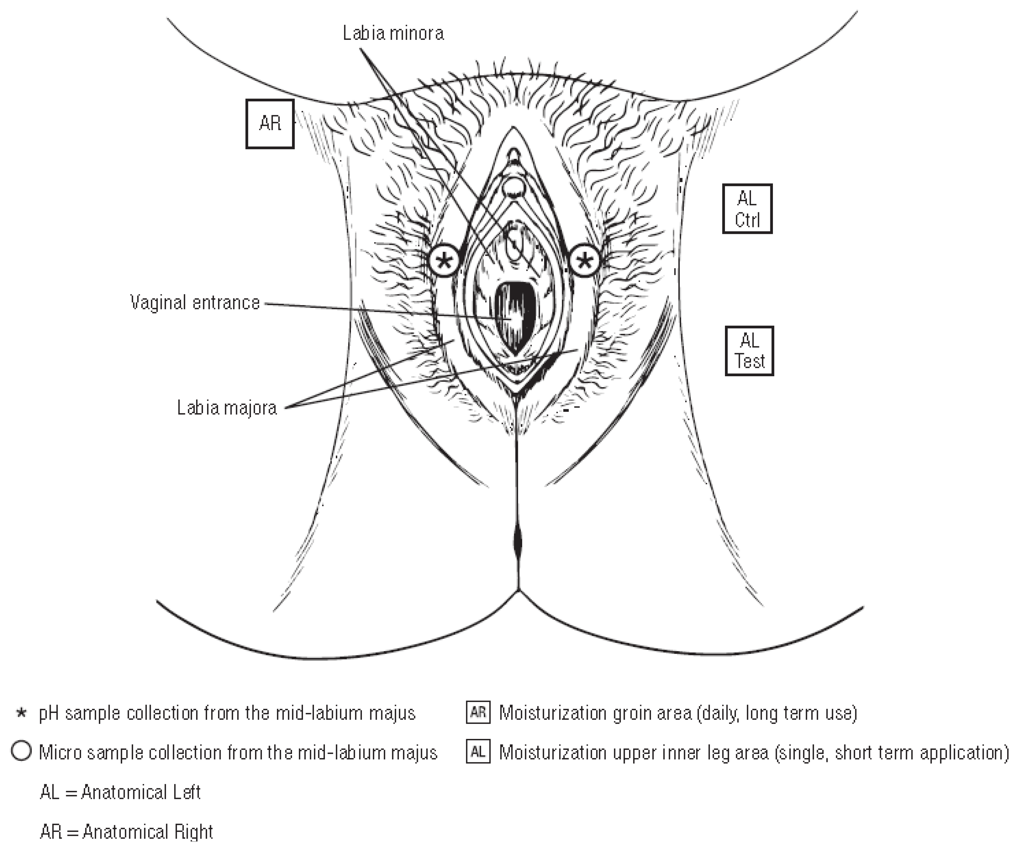Antibiotics 09 00055 g008