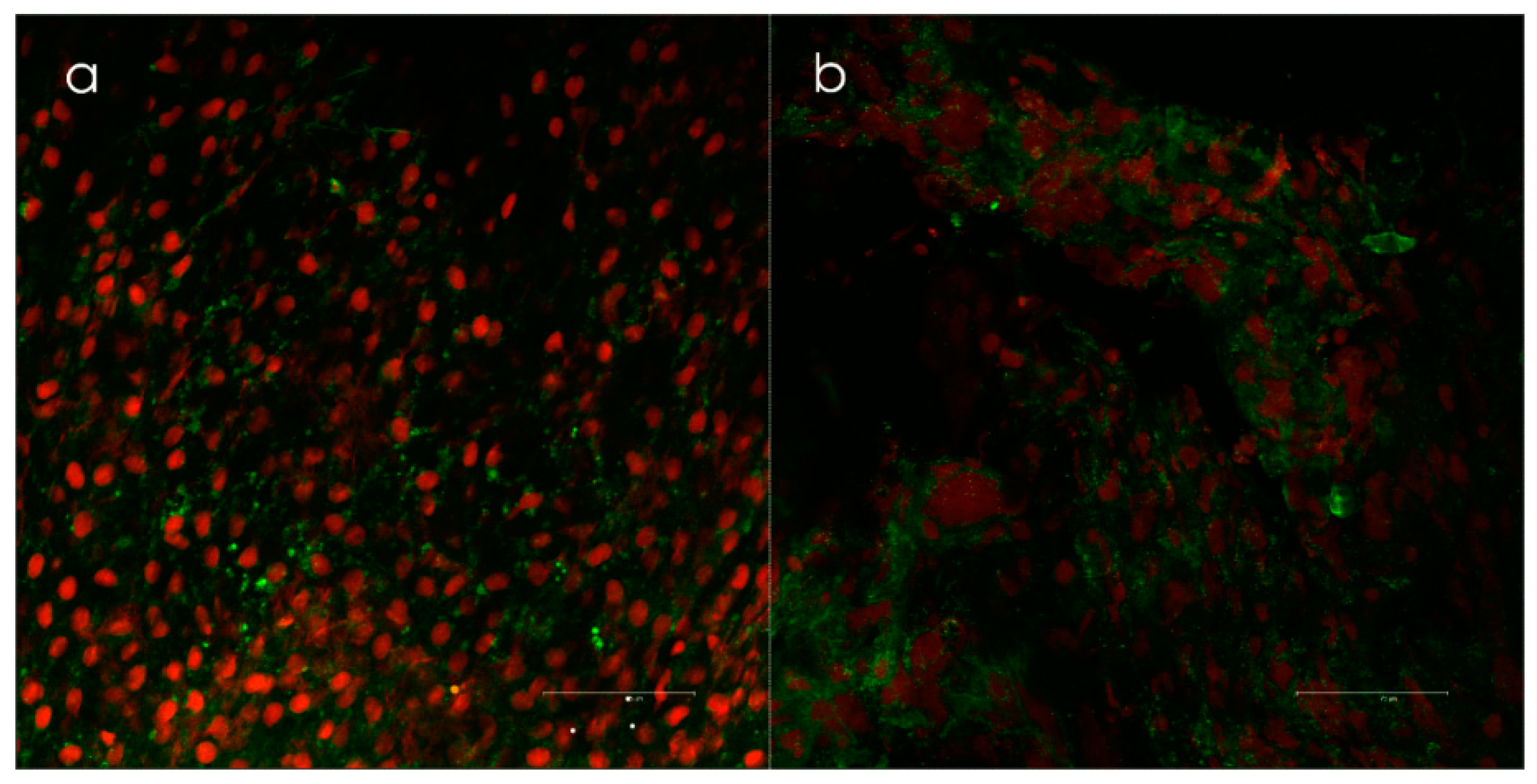 Antibiotics 09 00059 g003 Antibiotics 09 00059 g003
