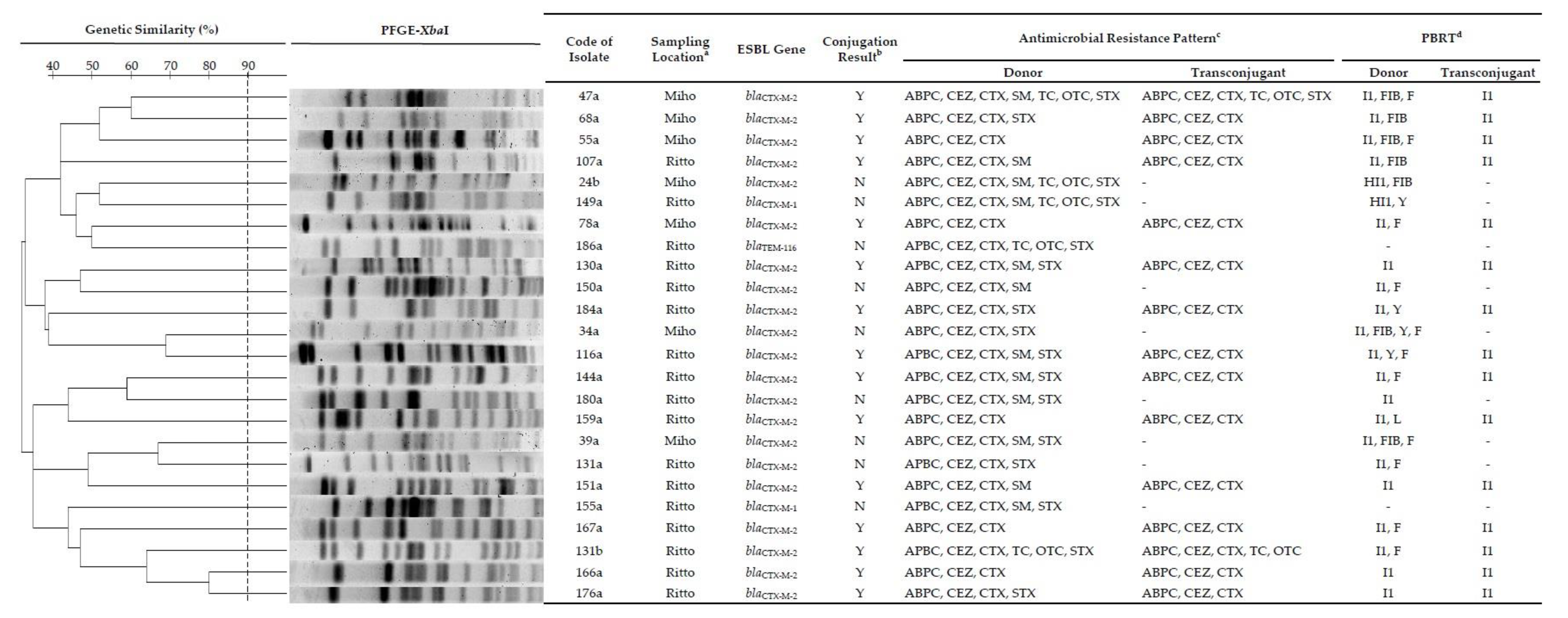 Antibiotics 09 00070 g001
