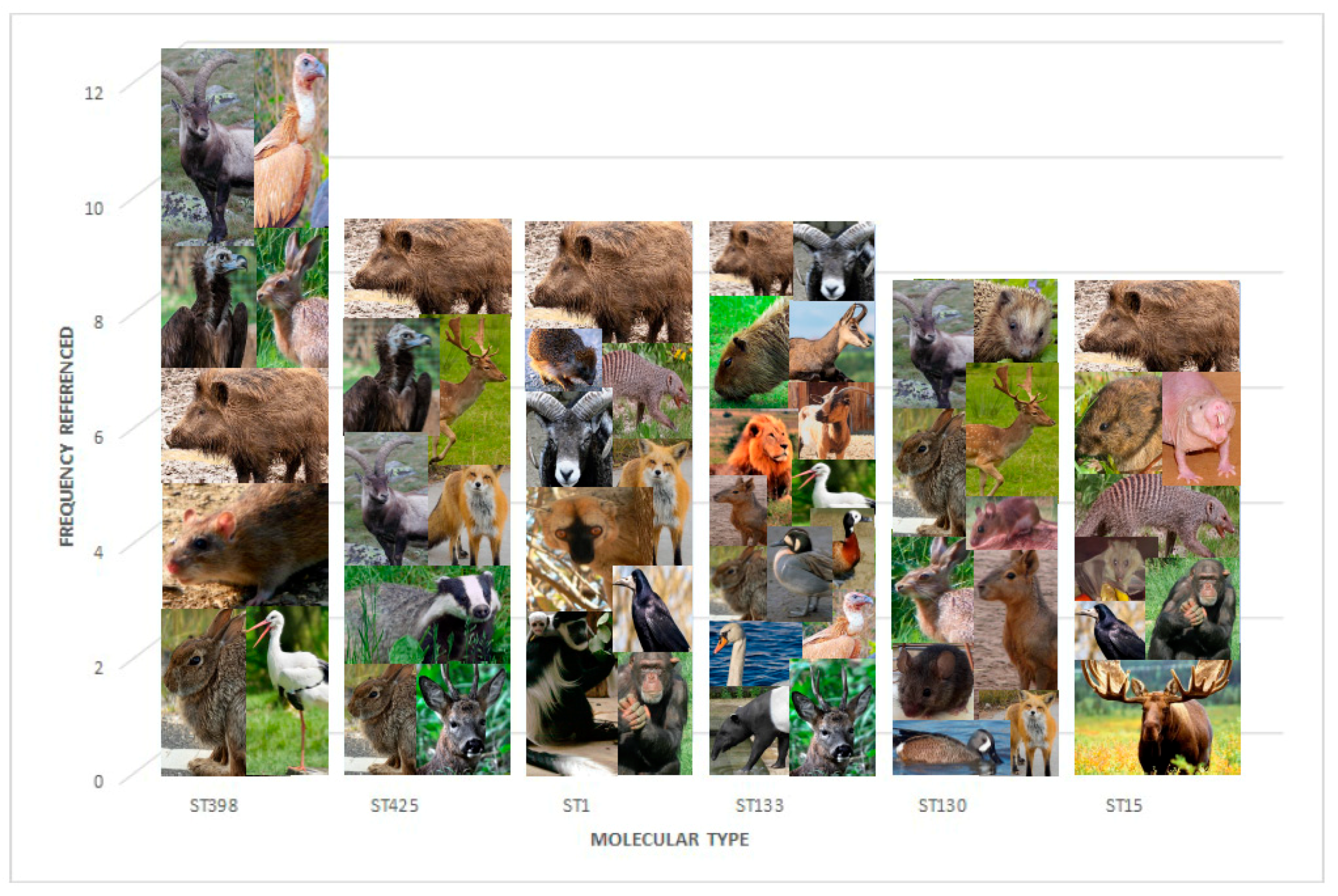Antibiotics 09 00089 g002