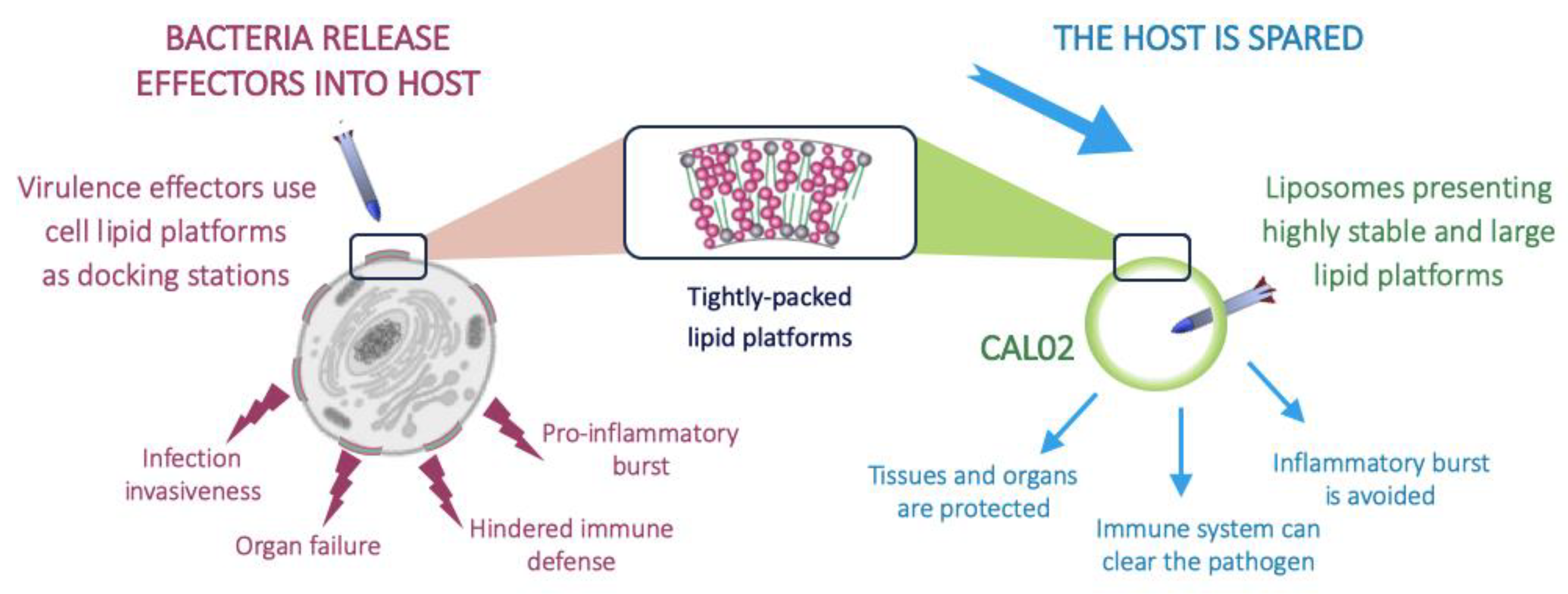 Antibiotics 09 00094 g001