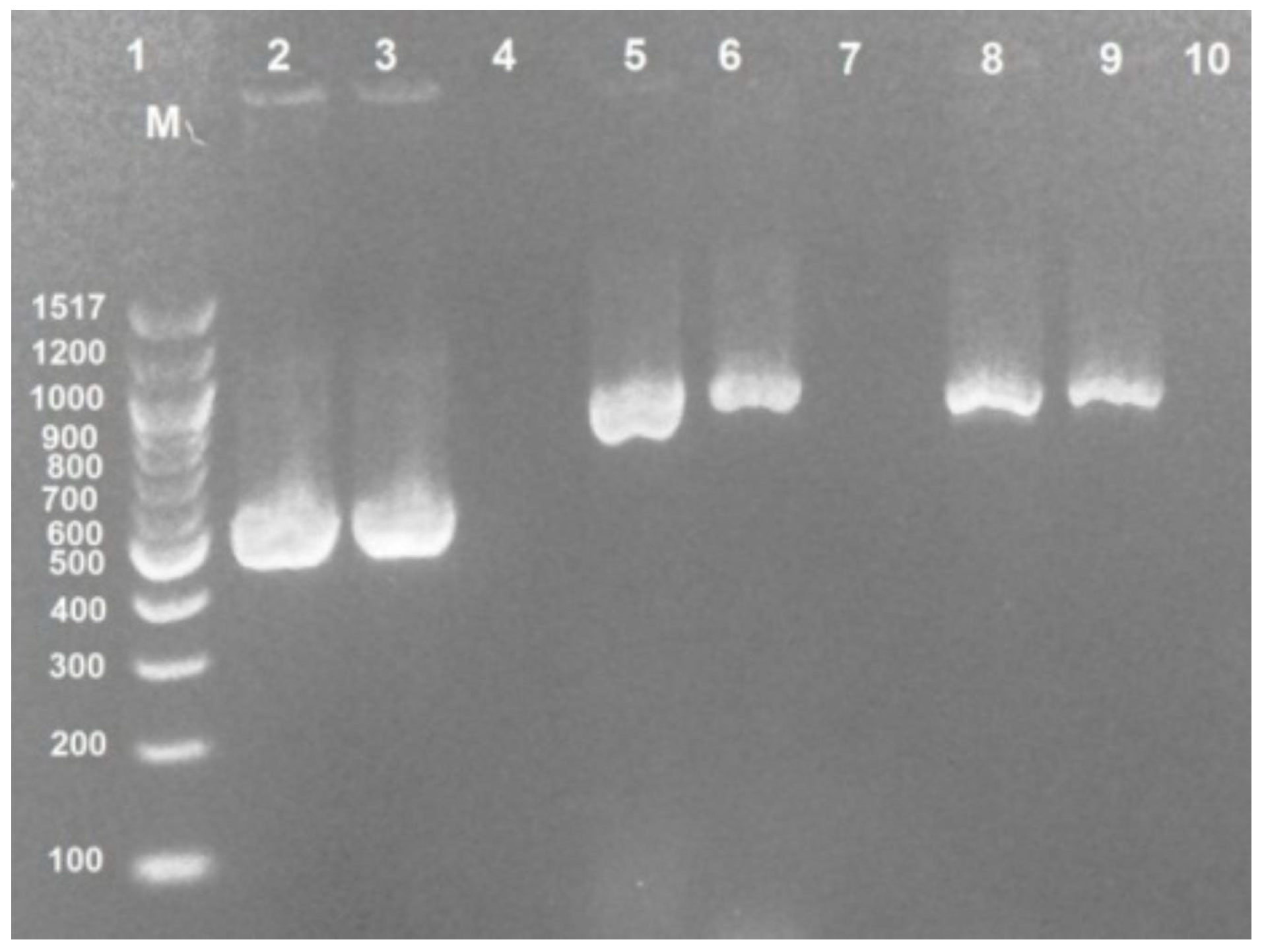 Antibiotics 09 00108 g002 Antibiotics 09 00108 g002