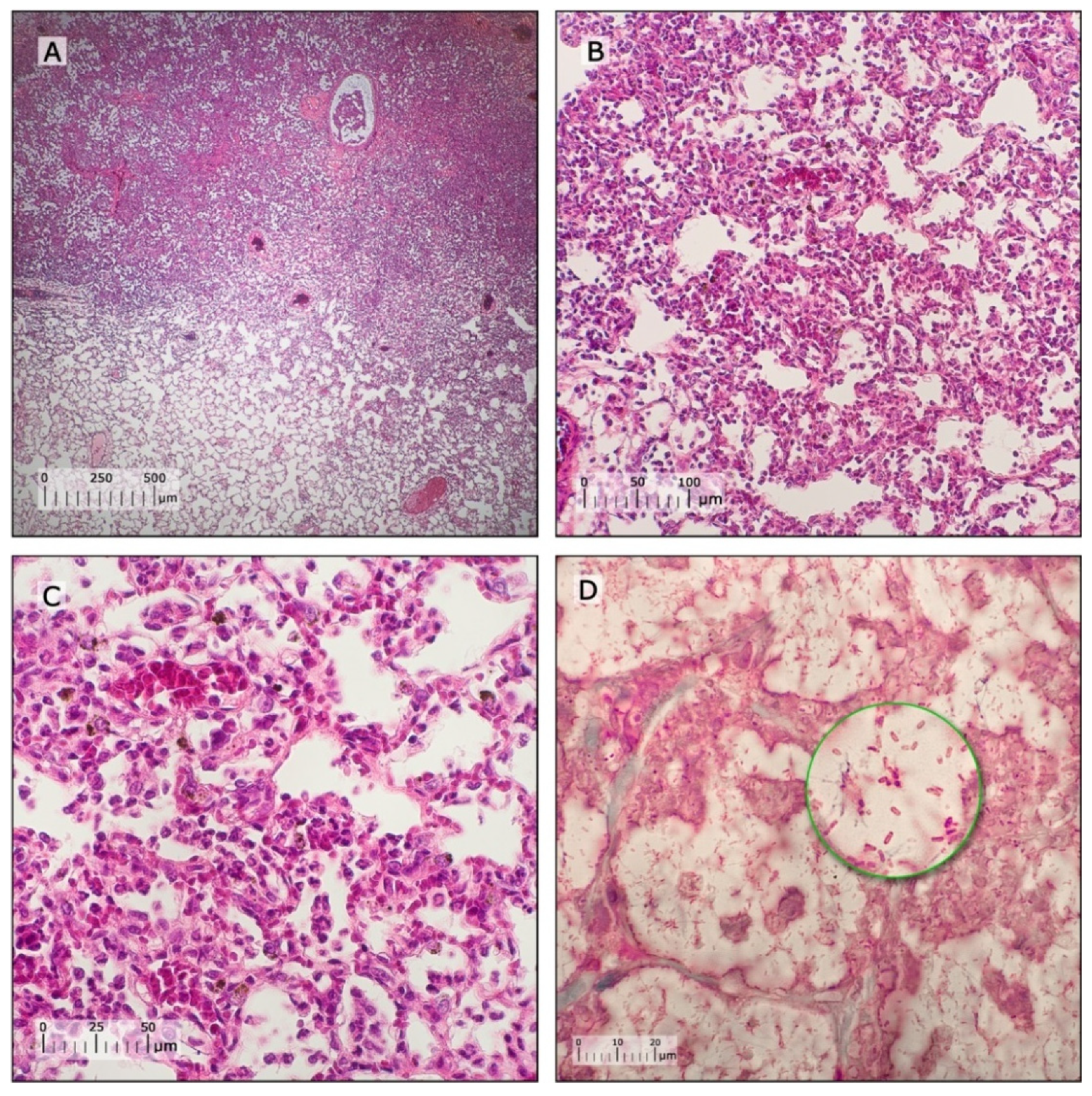Antibiotics 09 00109 g0a1