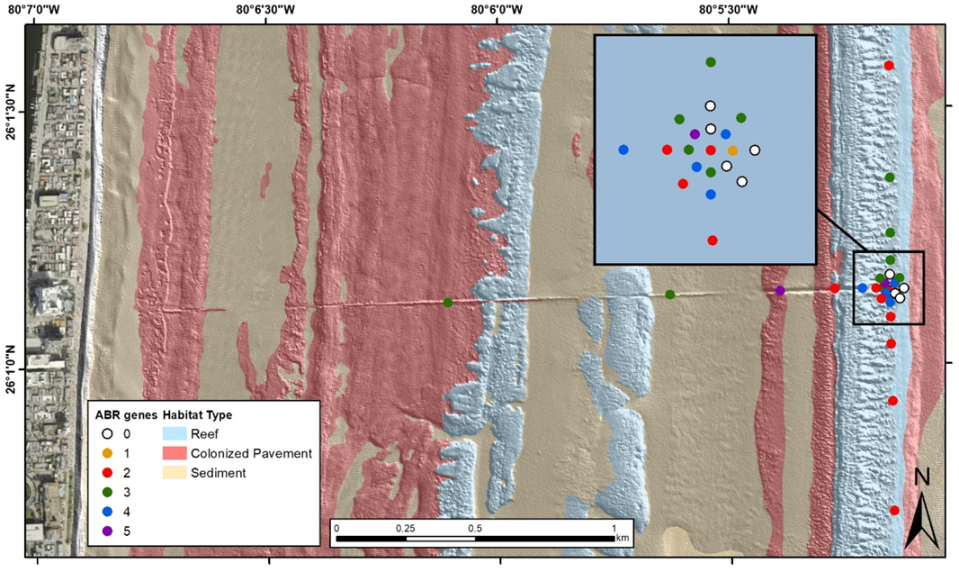 Antibiotics 09 00118 g002