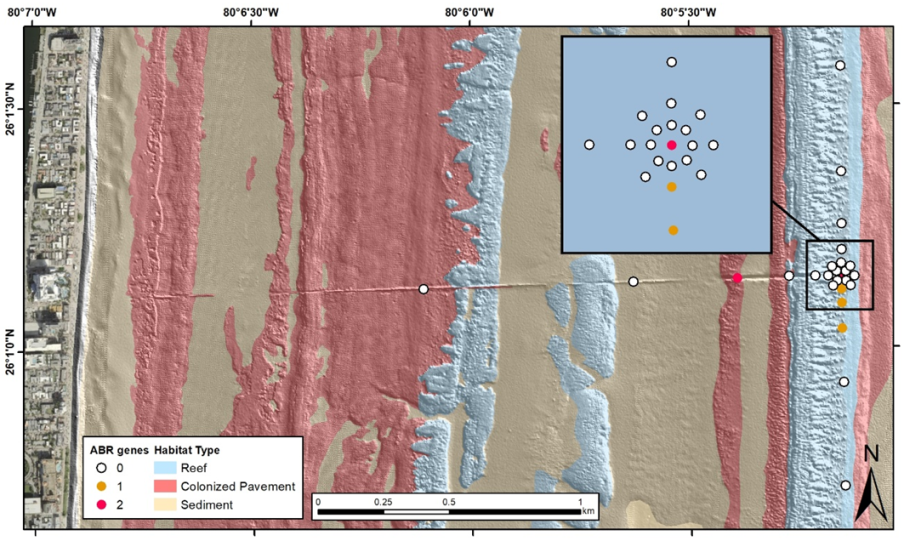 Antibiotics 09 00118 g003