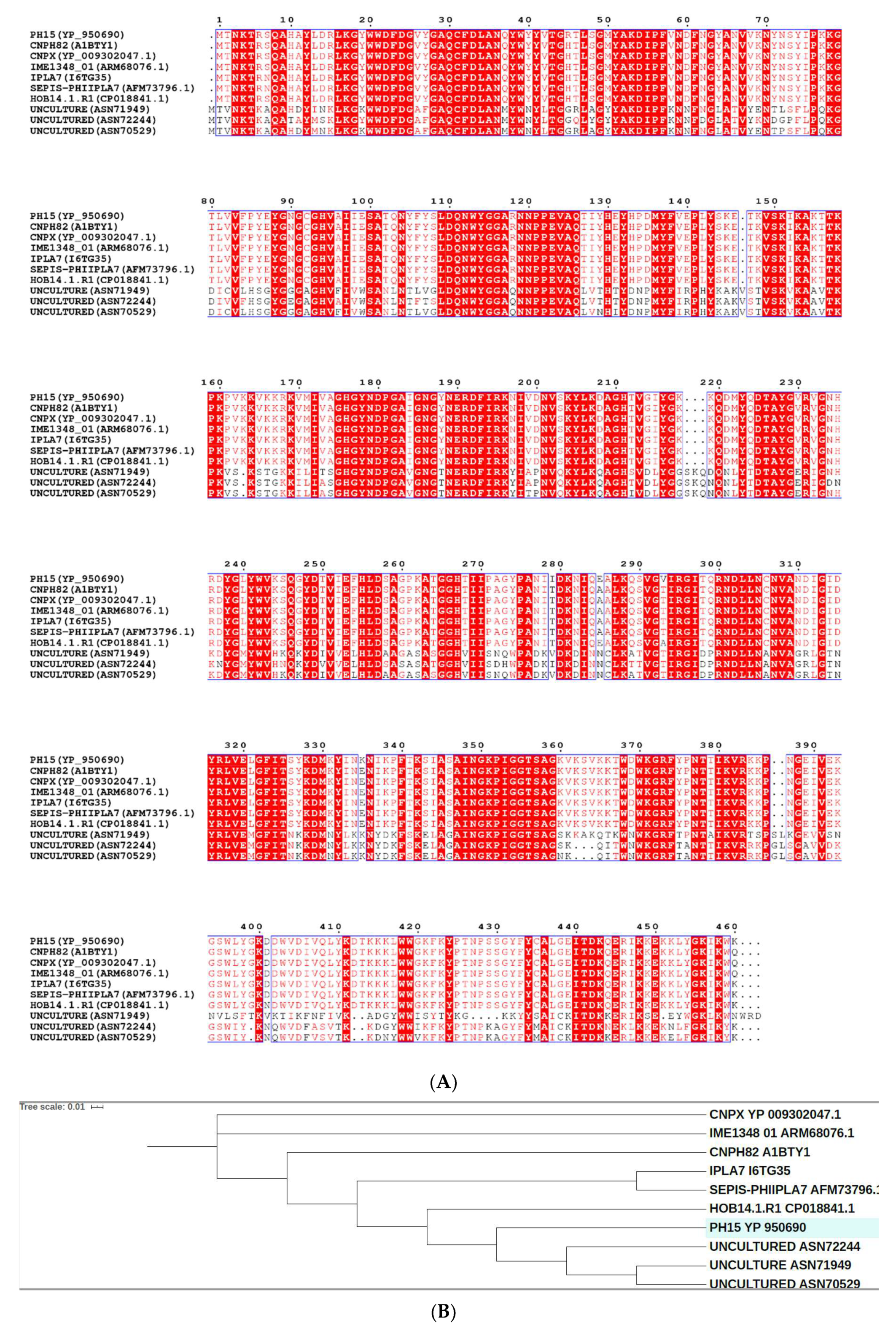 Antibiotics 09 00148 g003 Antibiotics 09 00148 g003