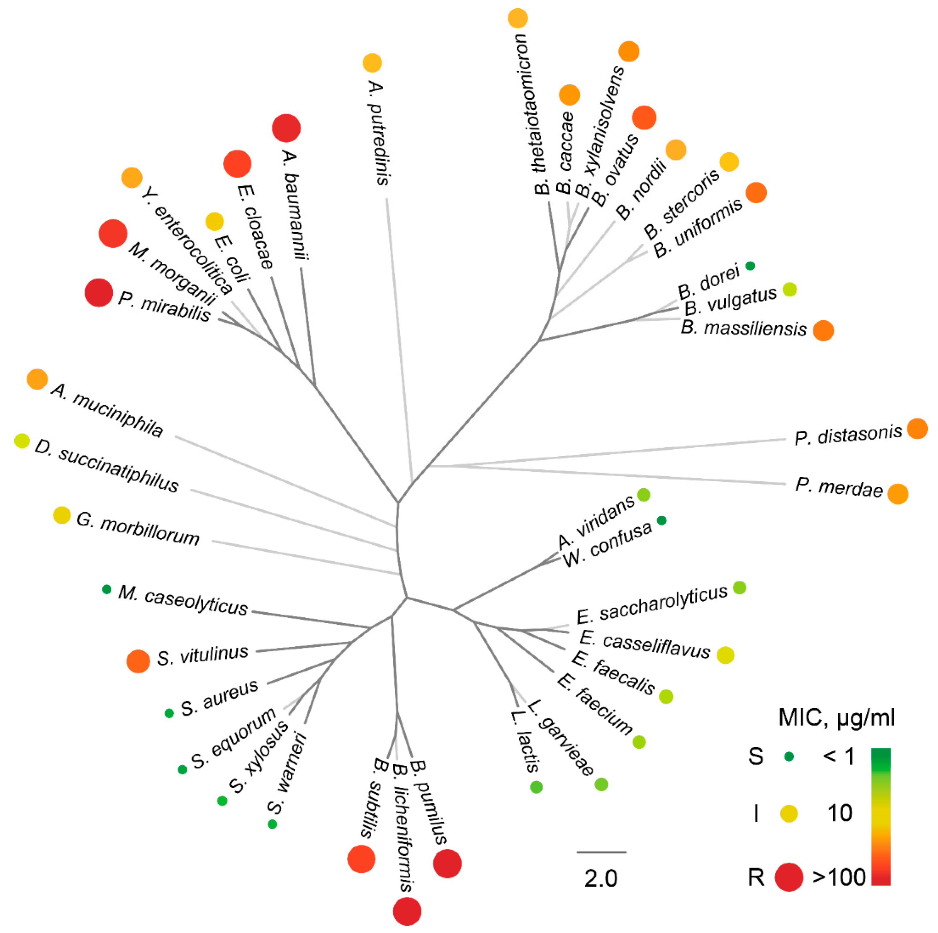Antibiotics 09 00157 g004 Antibiotics 09 00157 g004