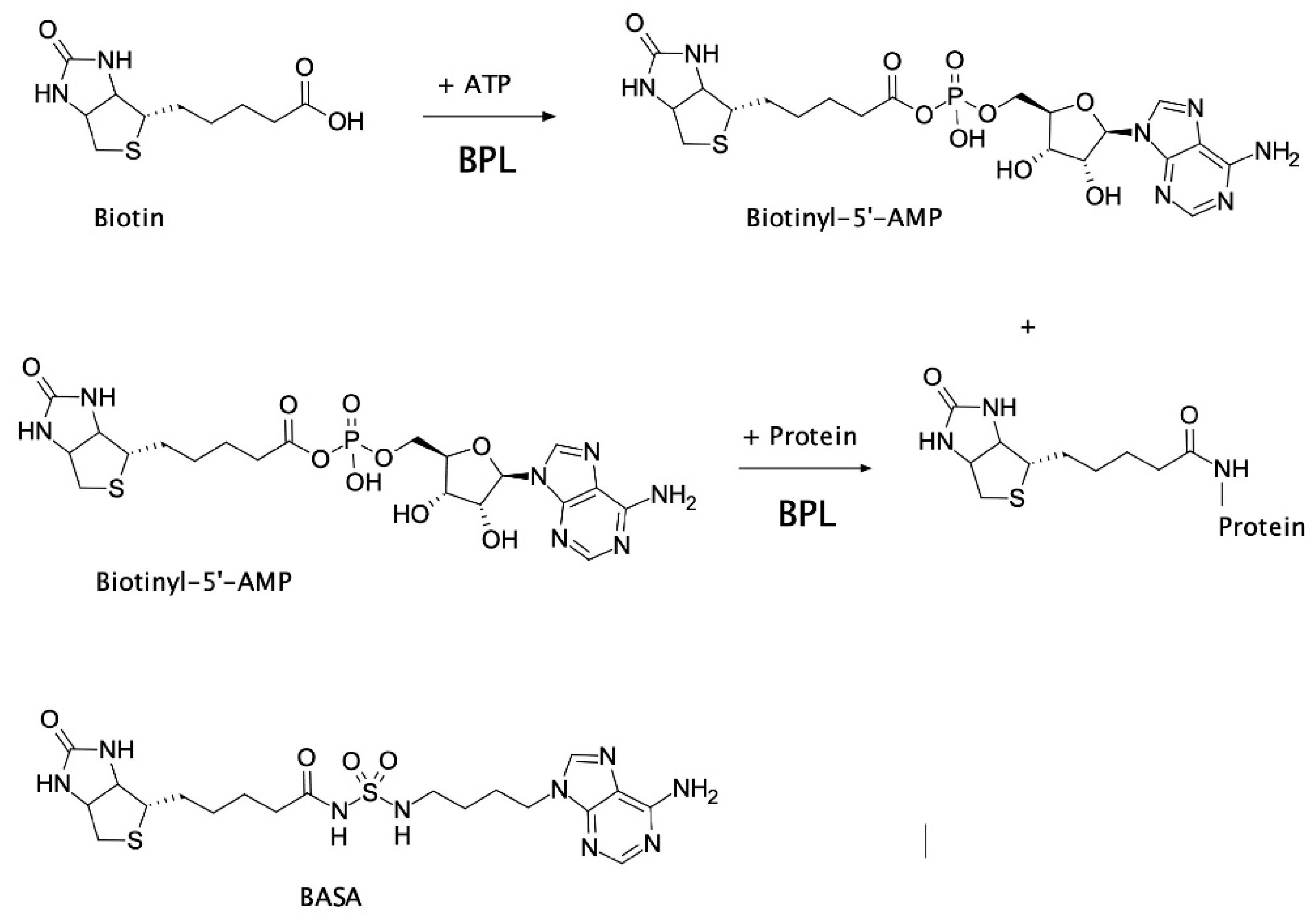 Antibiotics 09 00165 g001 Antibiotics 09 00165 g001