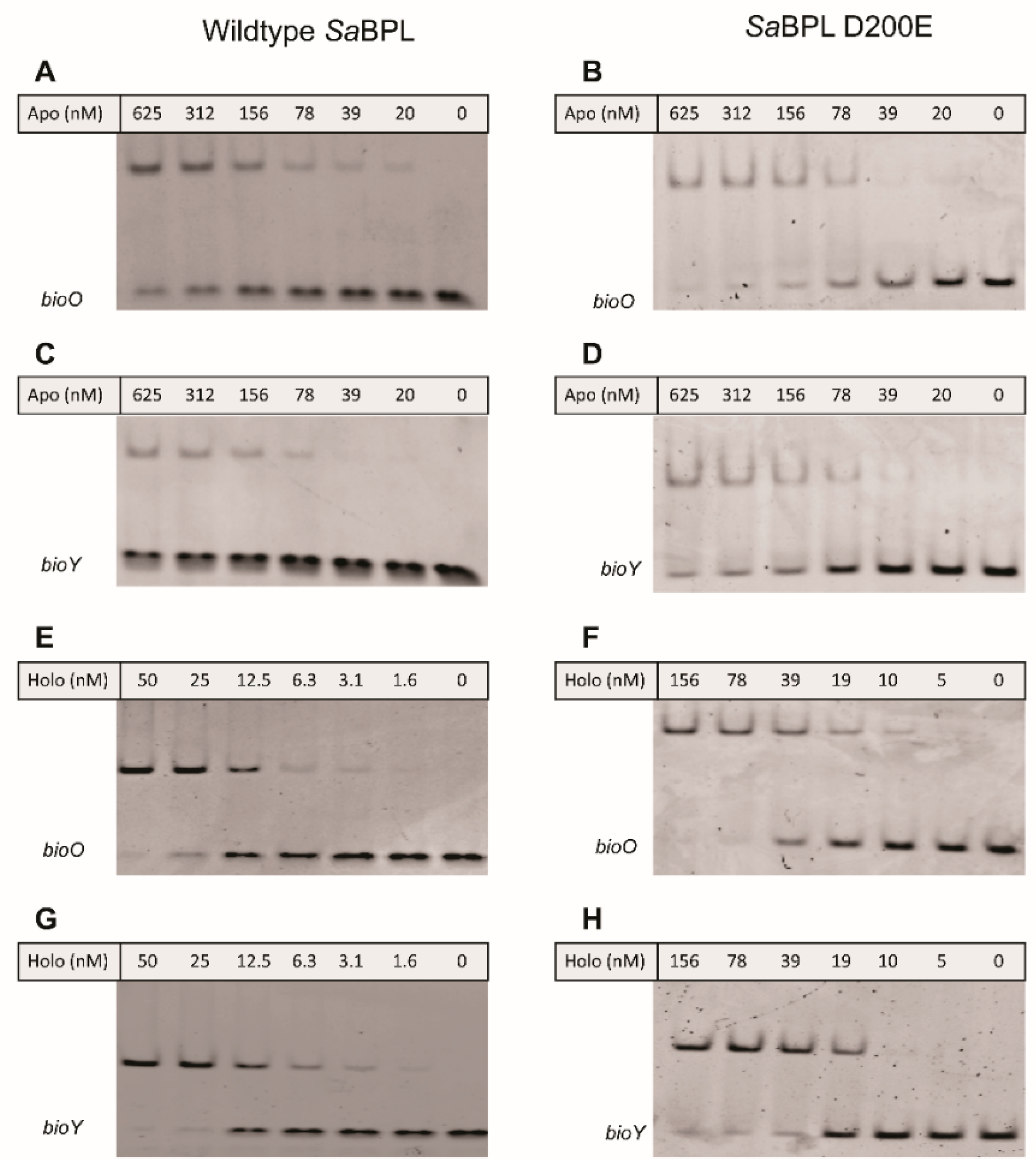 Antibiotics 09 00165 g004 Antibiotics 09 00165 g004