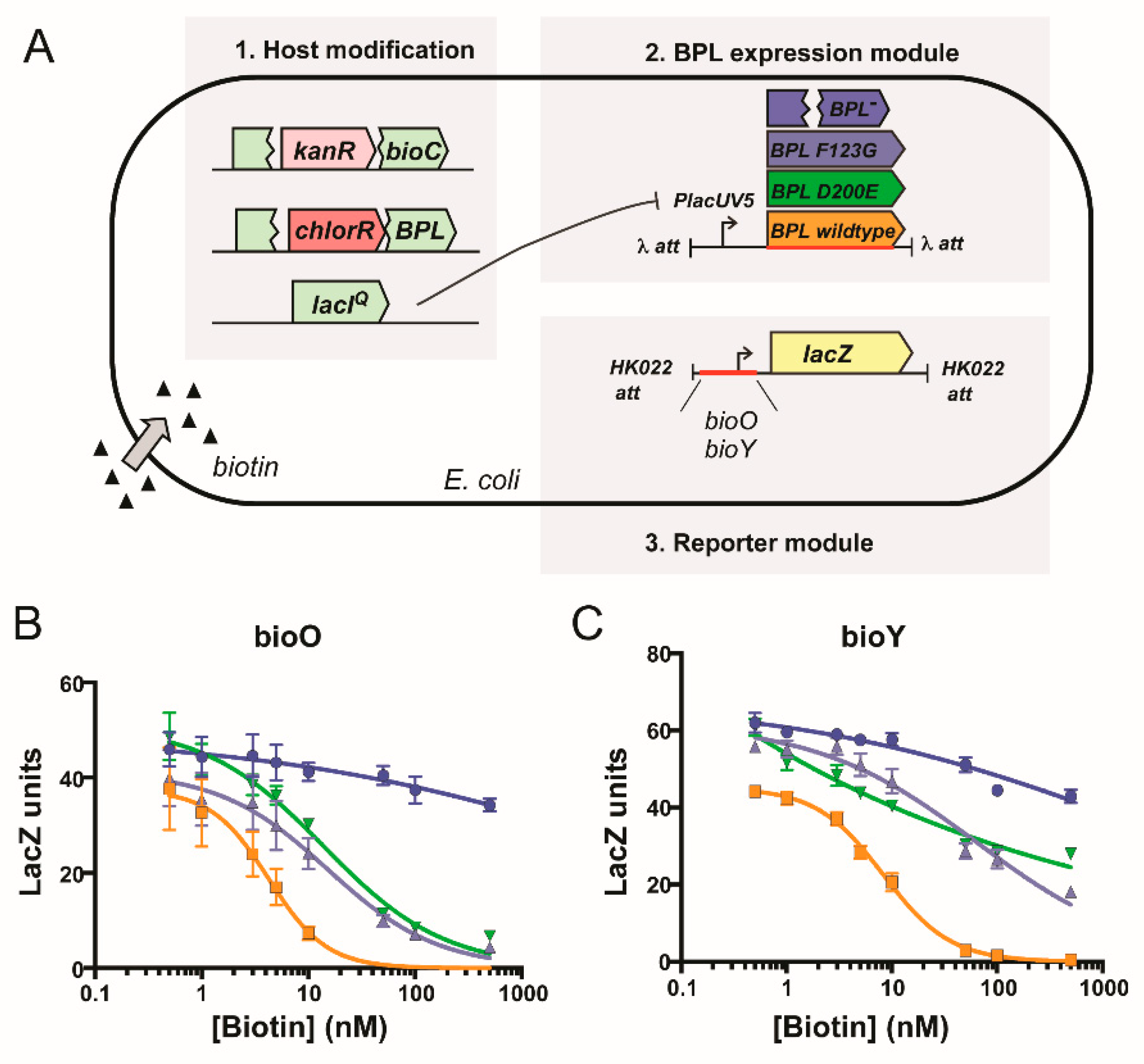 Antibiotics 09 00165 g005 Antibiotics 09 00165 g005