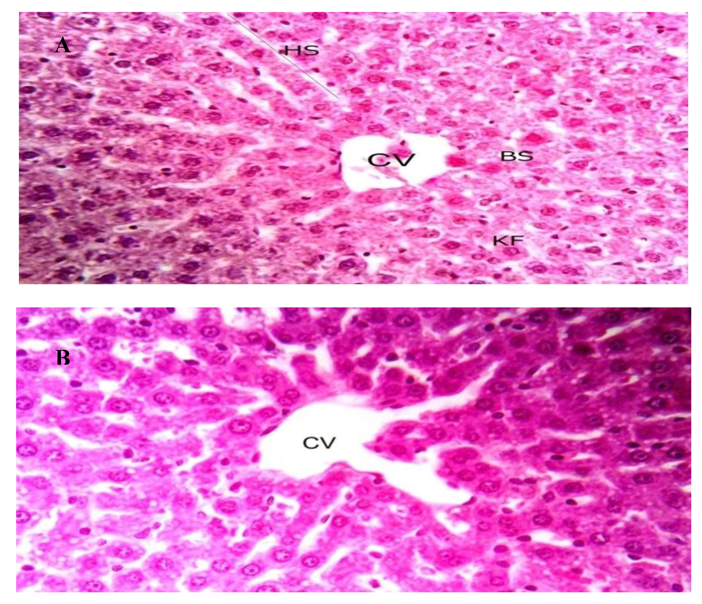 Antibiotics 09 00176 g006