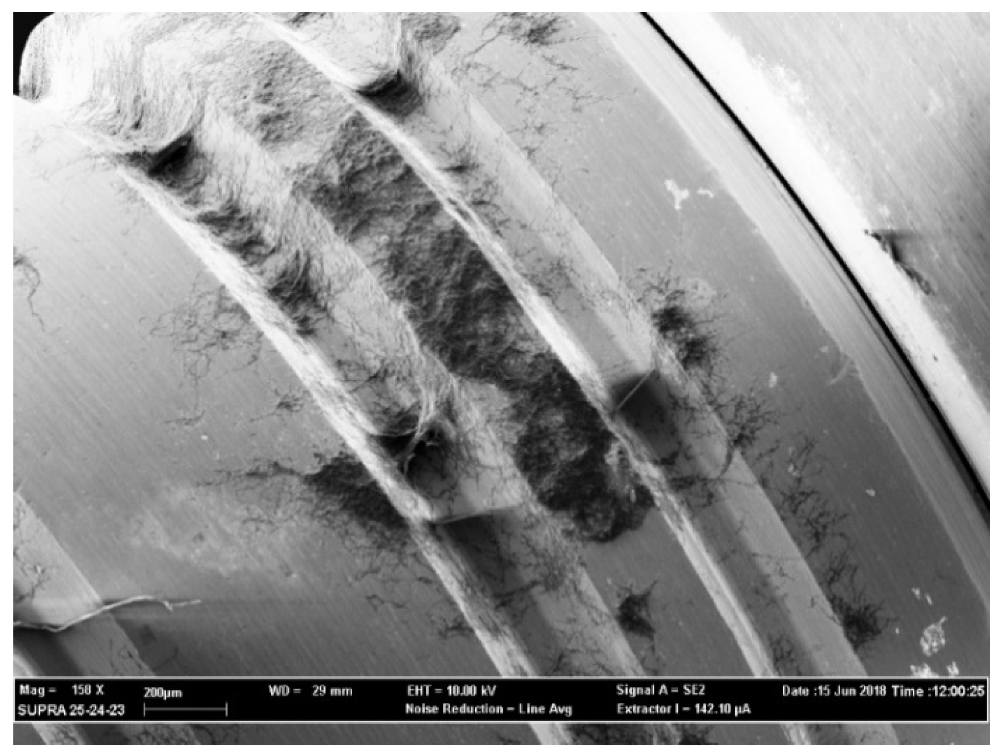 Antibiotics 09 00179 g003 Antibiotics 09 00179 g003