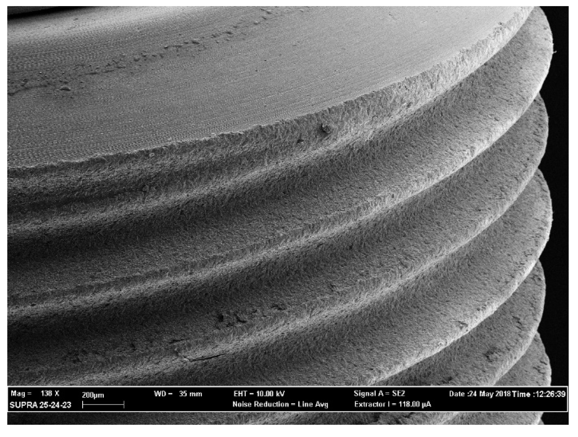 Antibiotics 09 00179 g006 Antibiotics 09 00179 g006