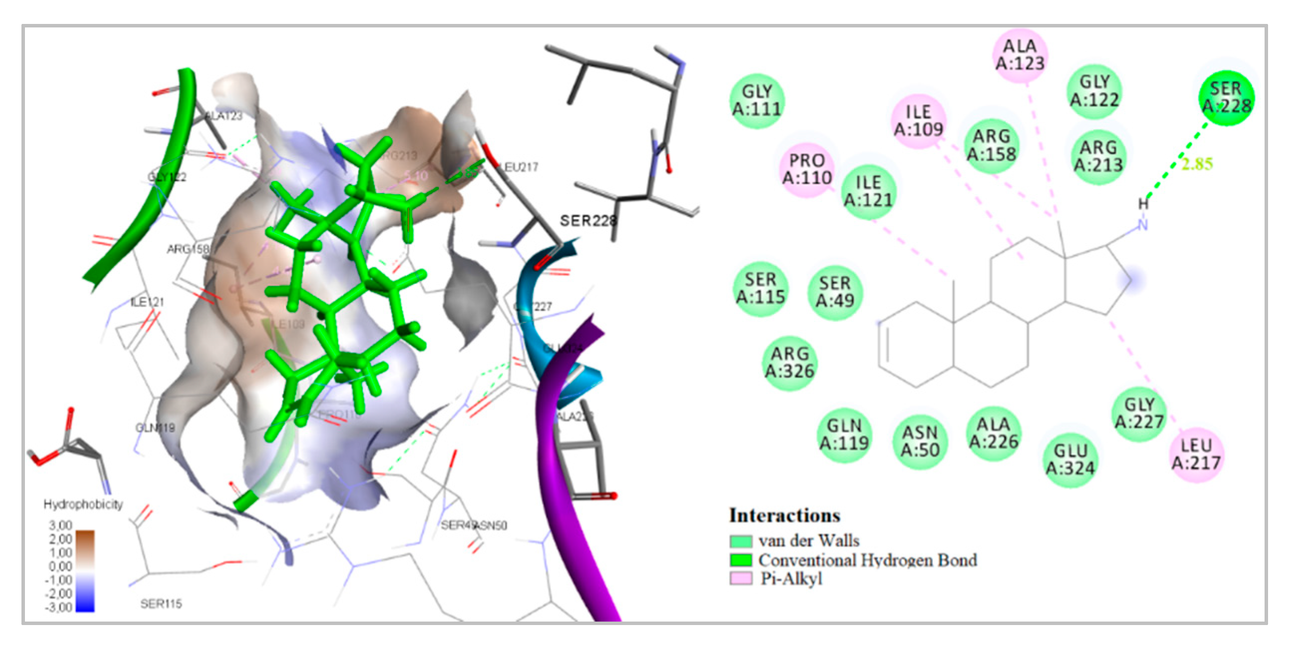 Antibiotics 09 00224 g001