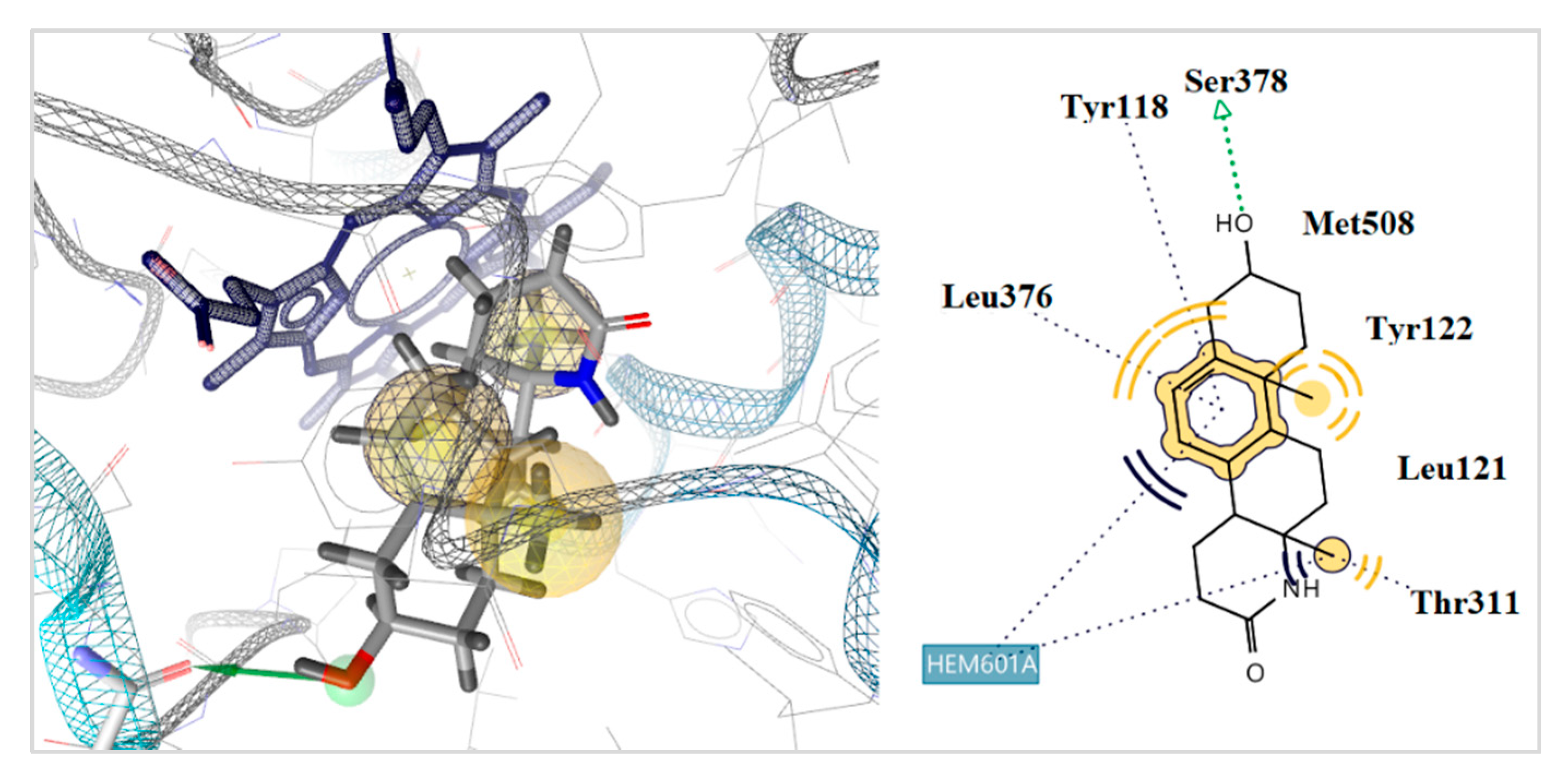 Antibiotics 09 00224 g003