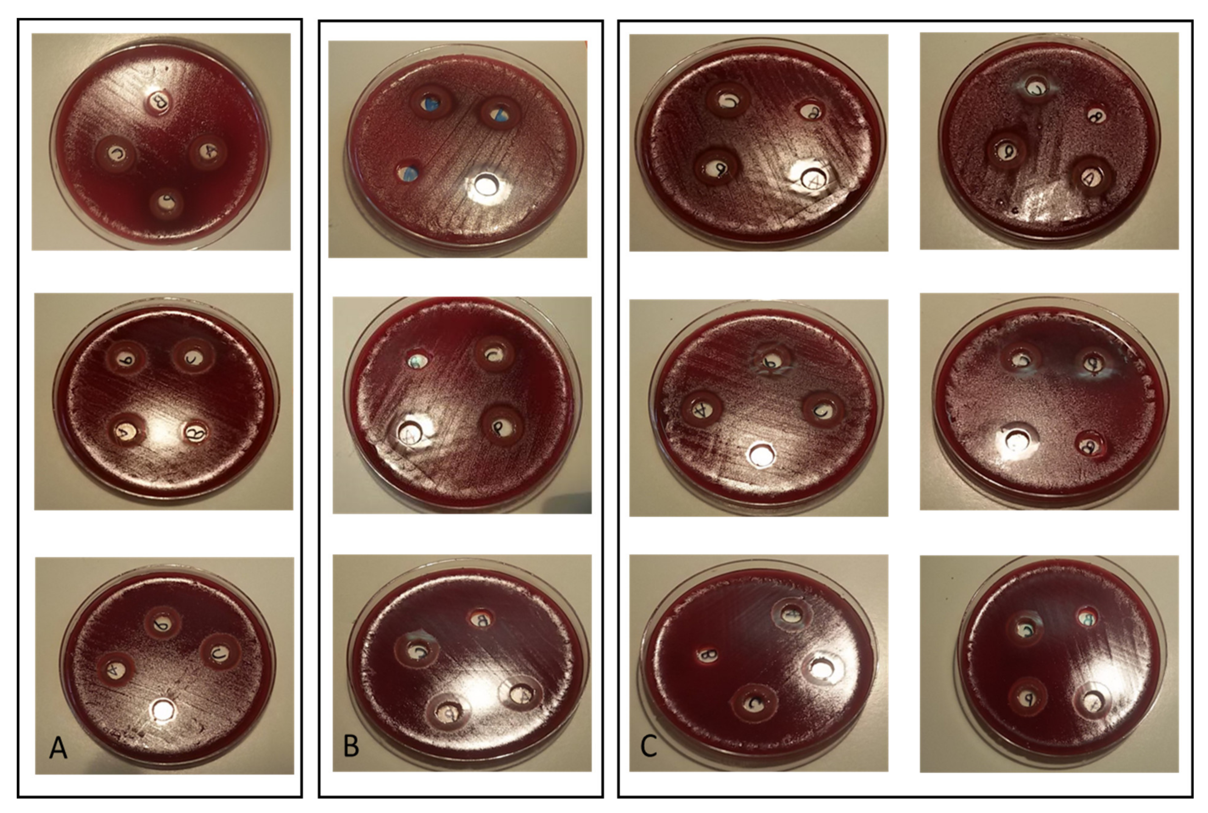 Antibiotics 09 00244 g003