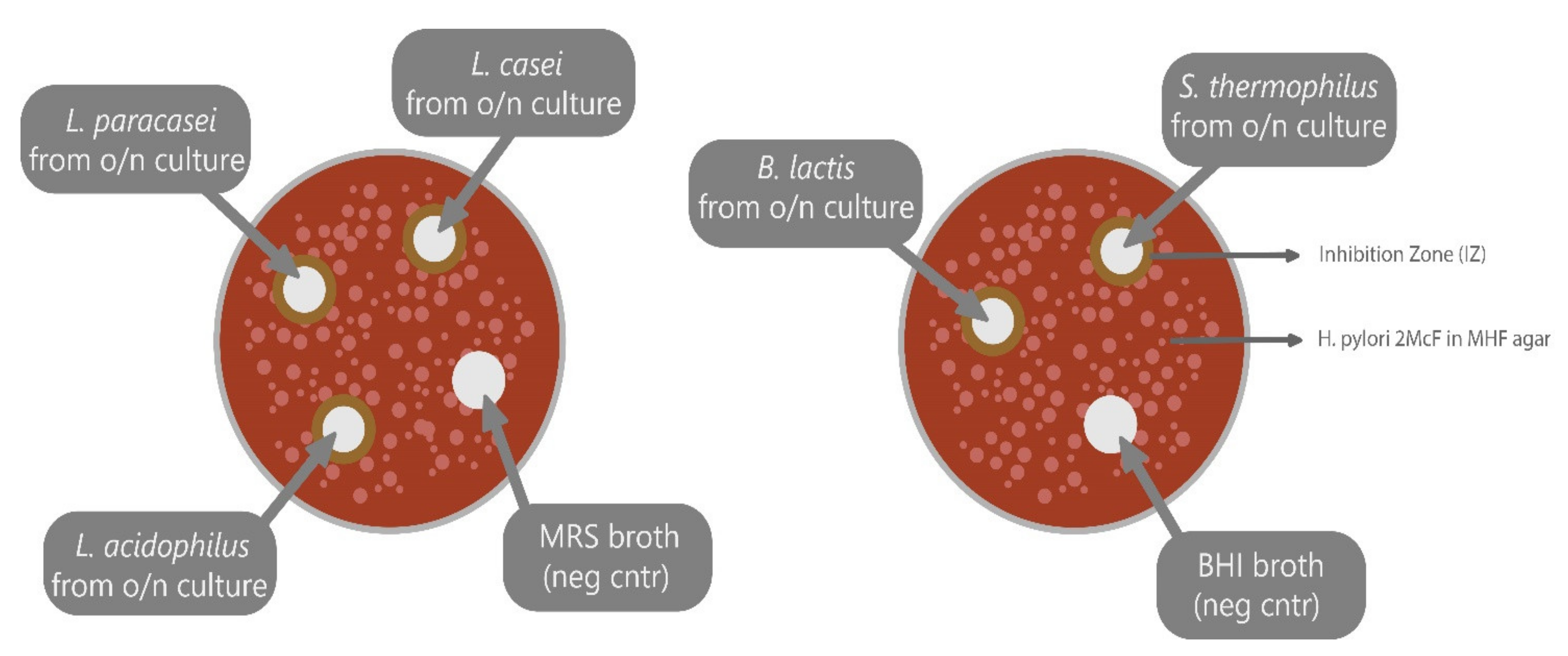 Antibiotics 09 00244 g005