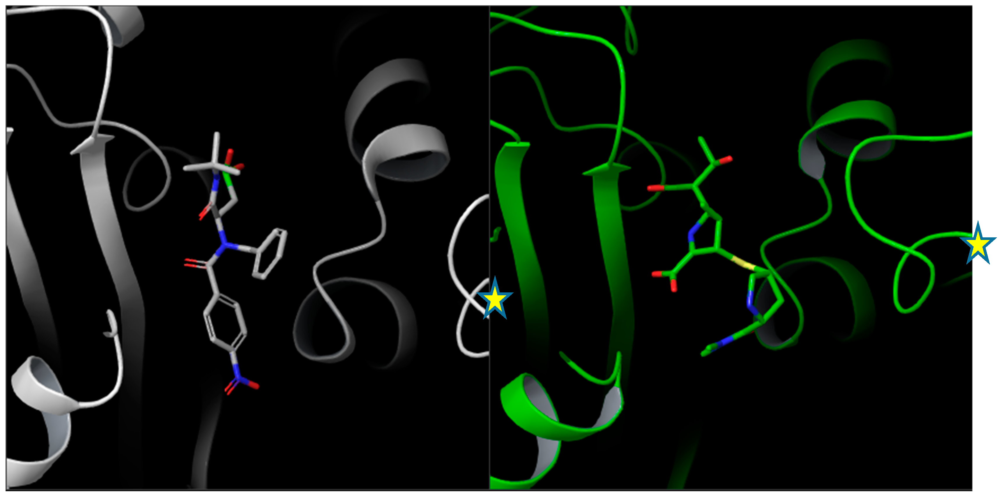 Antibiotics 09 00249 g004