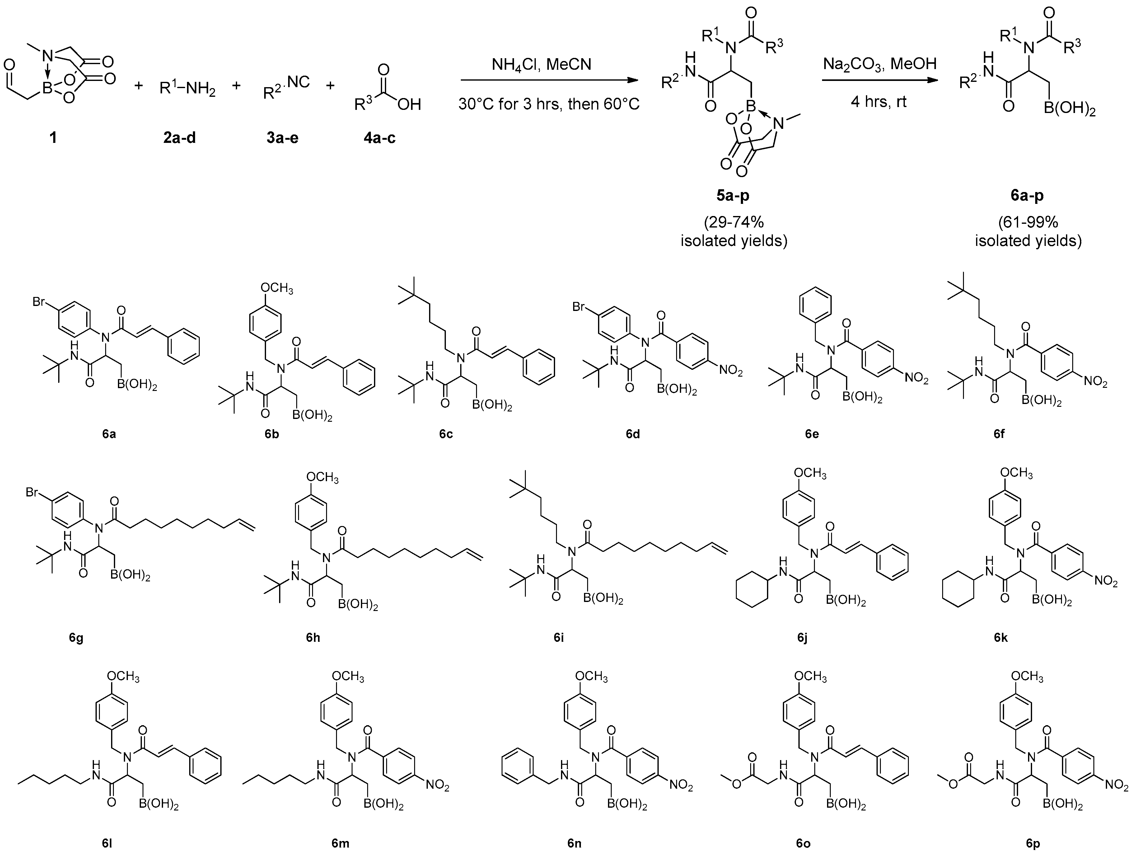 Antibiotics 09 00249 sch002