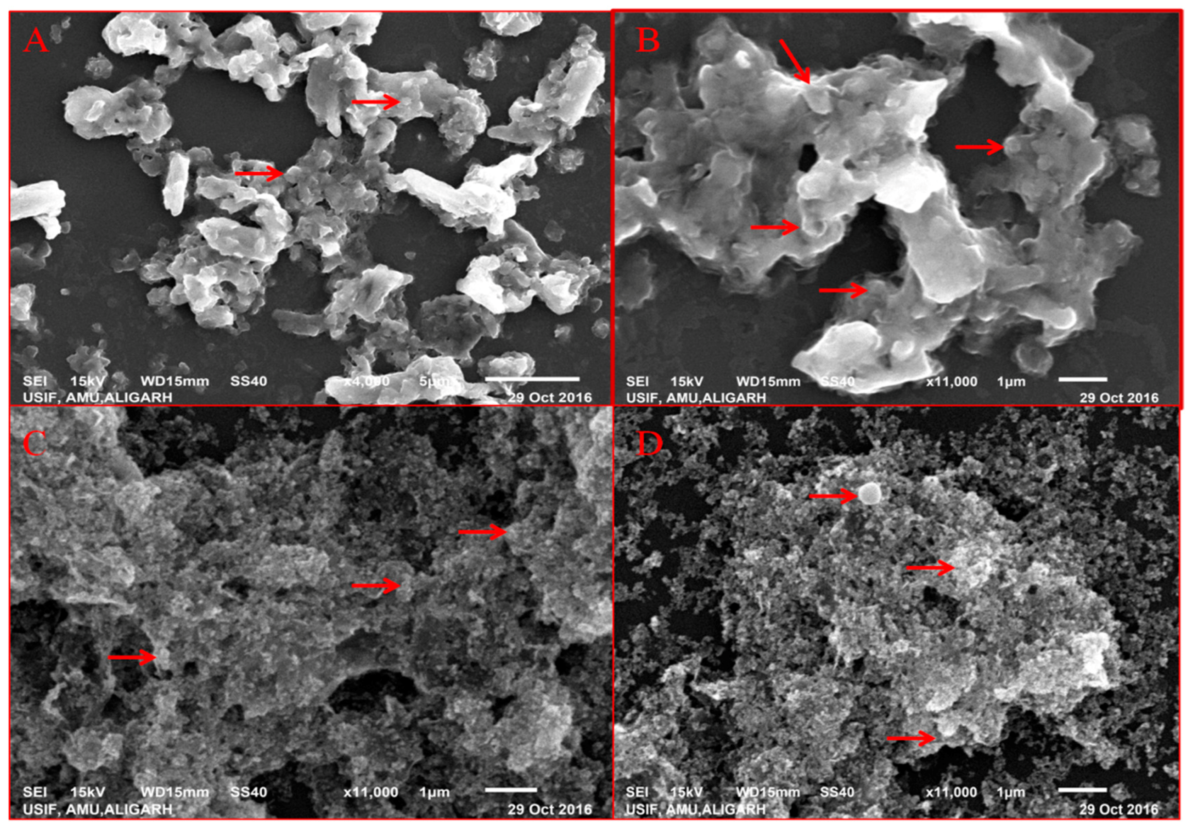 Antibiotics 09 00260 g003