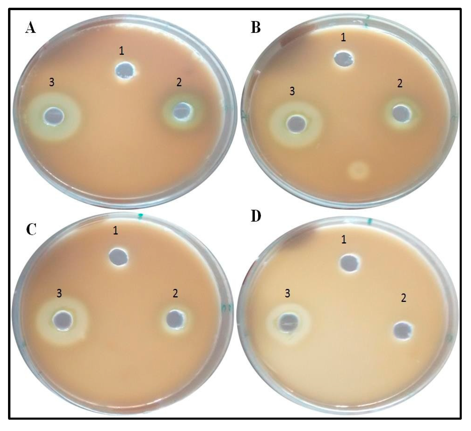 Antibiotics 09 00260 g008