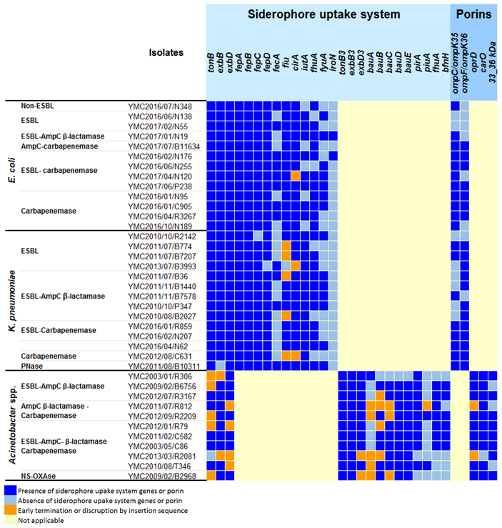 Antibiotics 09 00267 i002