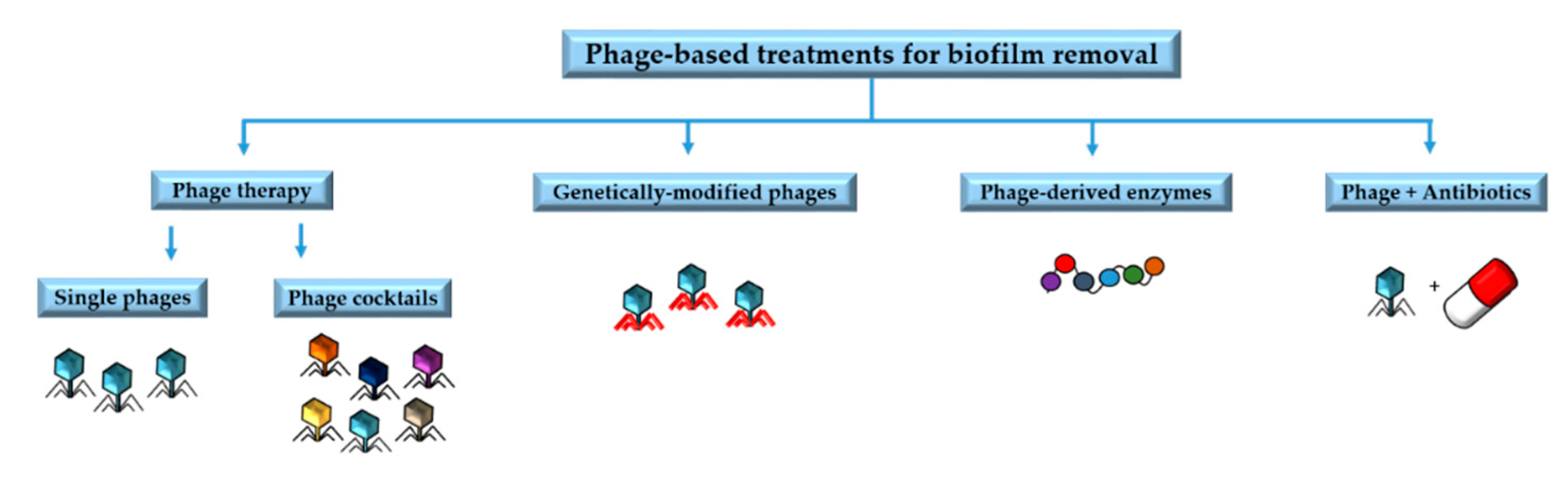 Antibiotics 09 00268 g002