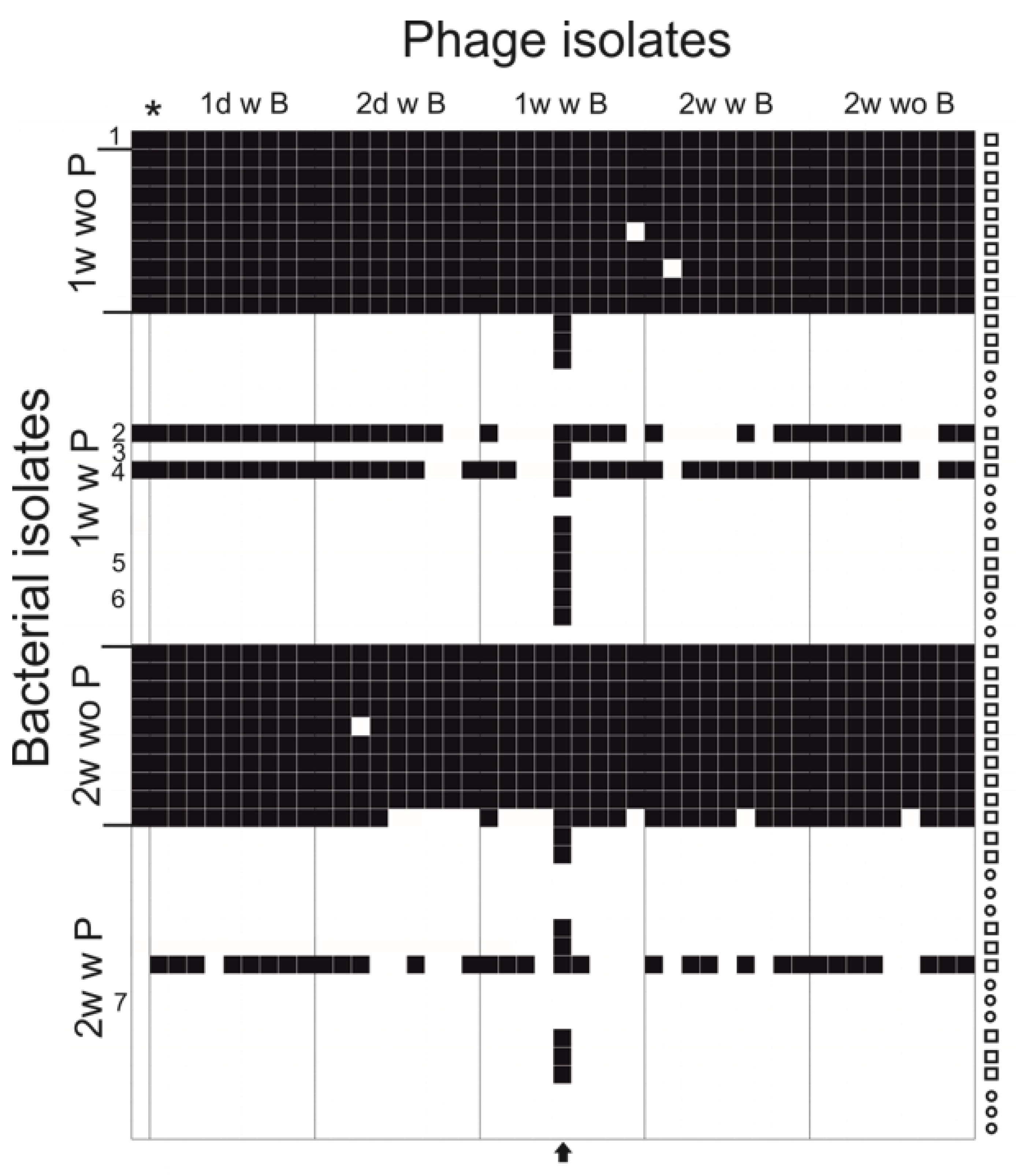 Antibiotics 09 00291 g003