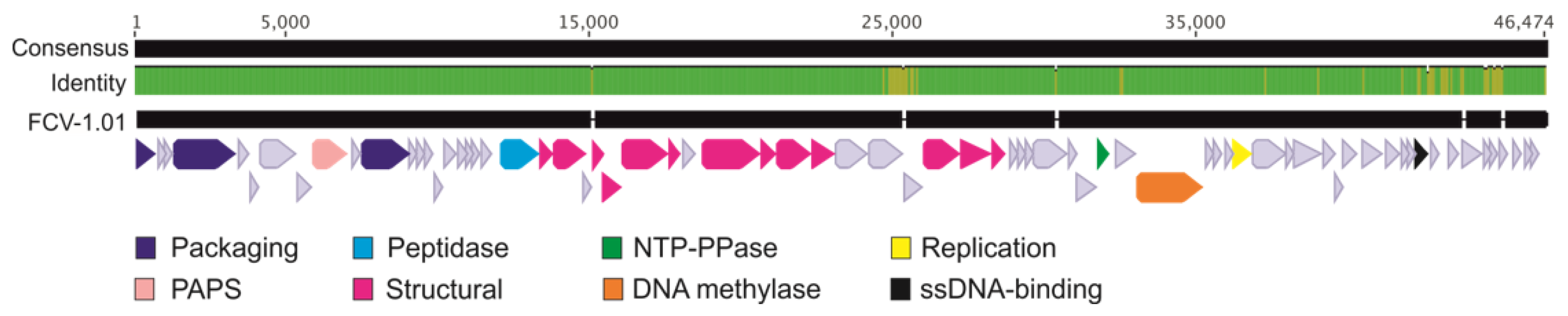Antibiotics 09 00291 g005