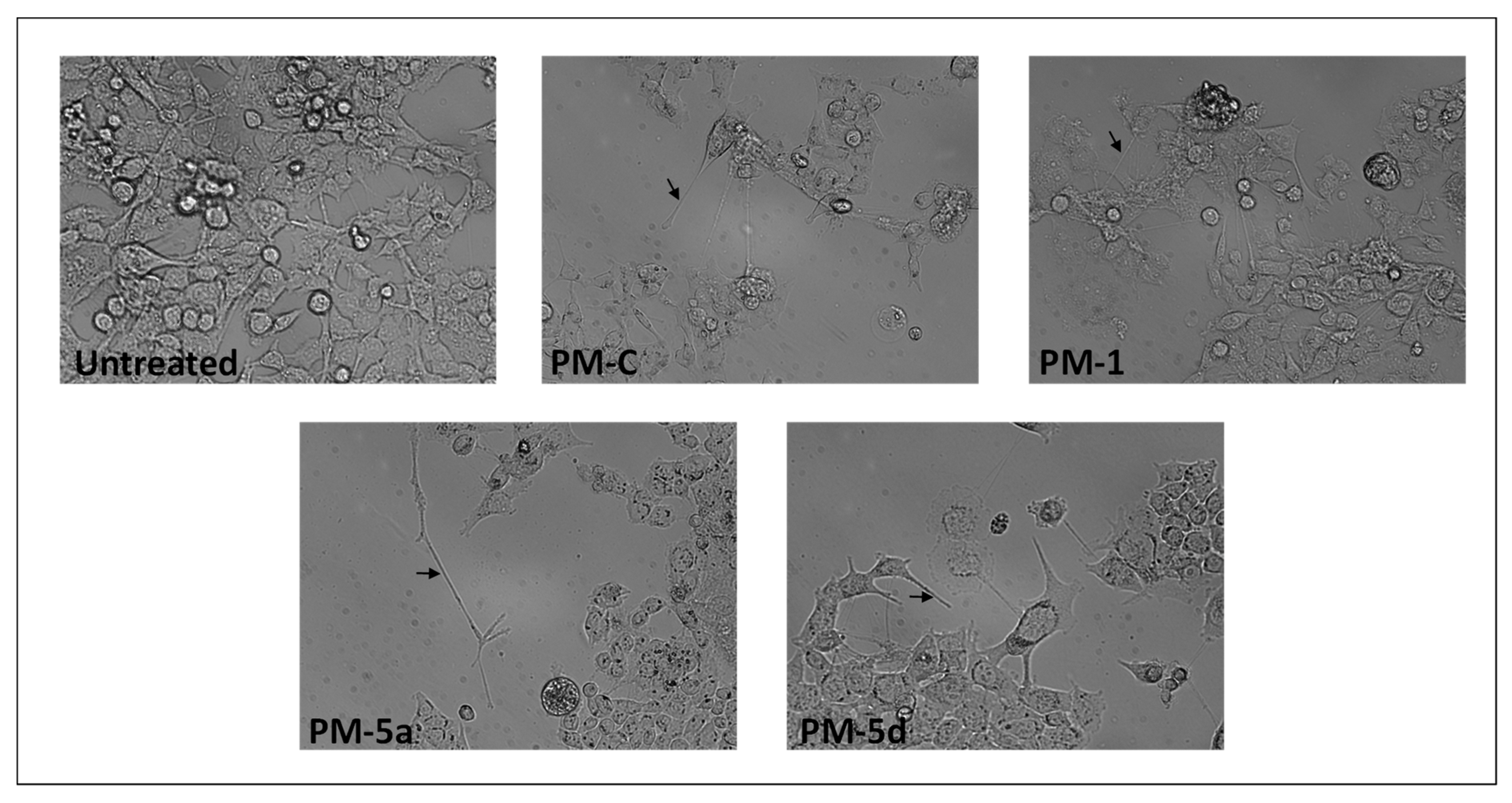 Antibiotics 09 00292 g005 Antibiotics 09 00292 g005