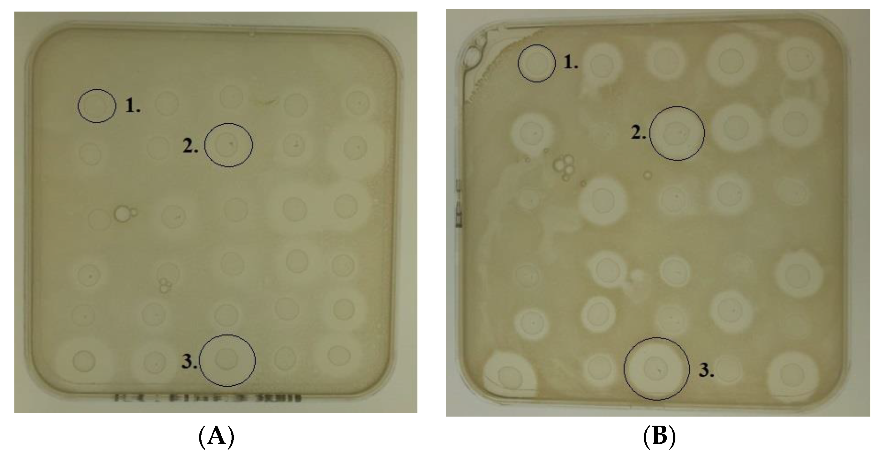 Antibiotics 09 00305 g001 Antibiotics 09 00305 g001