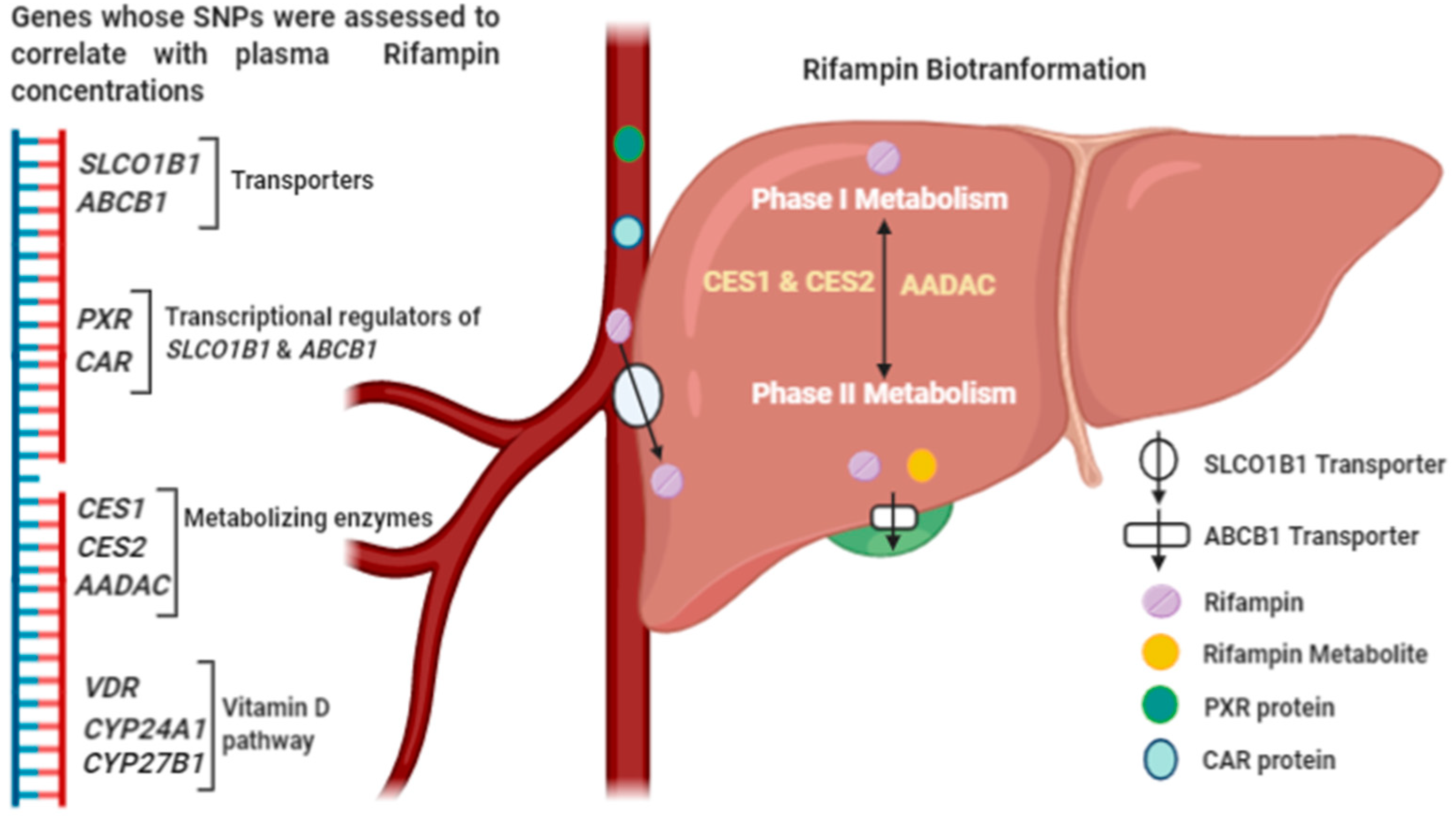 Antibiotics 09 00307 g001 Antibiotics 09 00307 g001